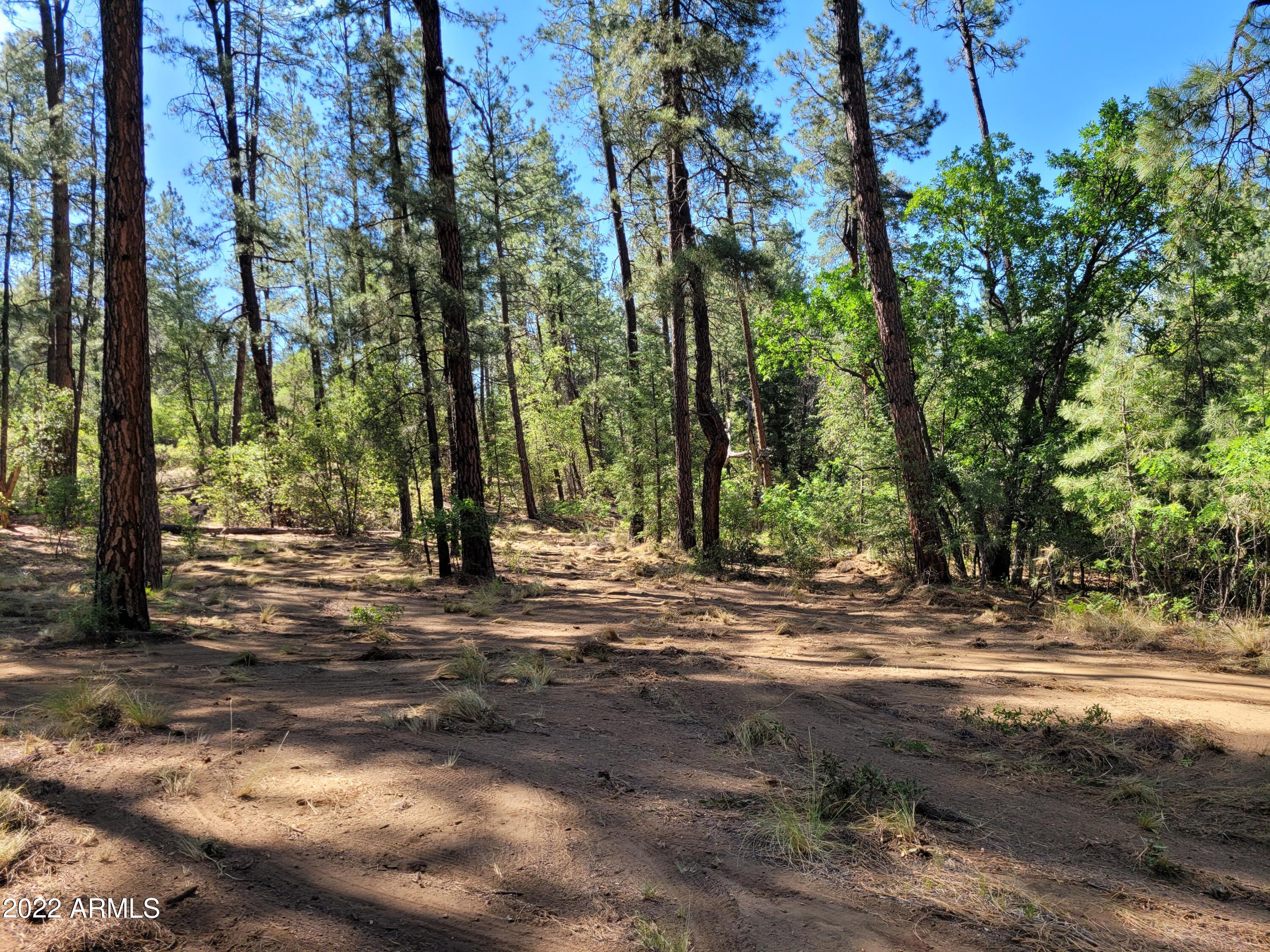 10 N Rose Creek Ranch Road # 10