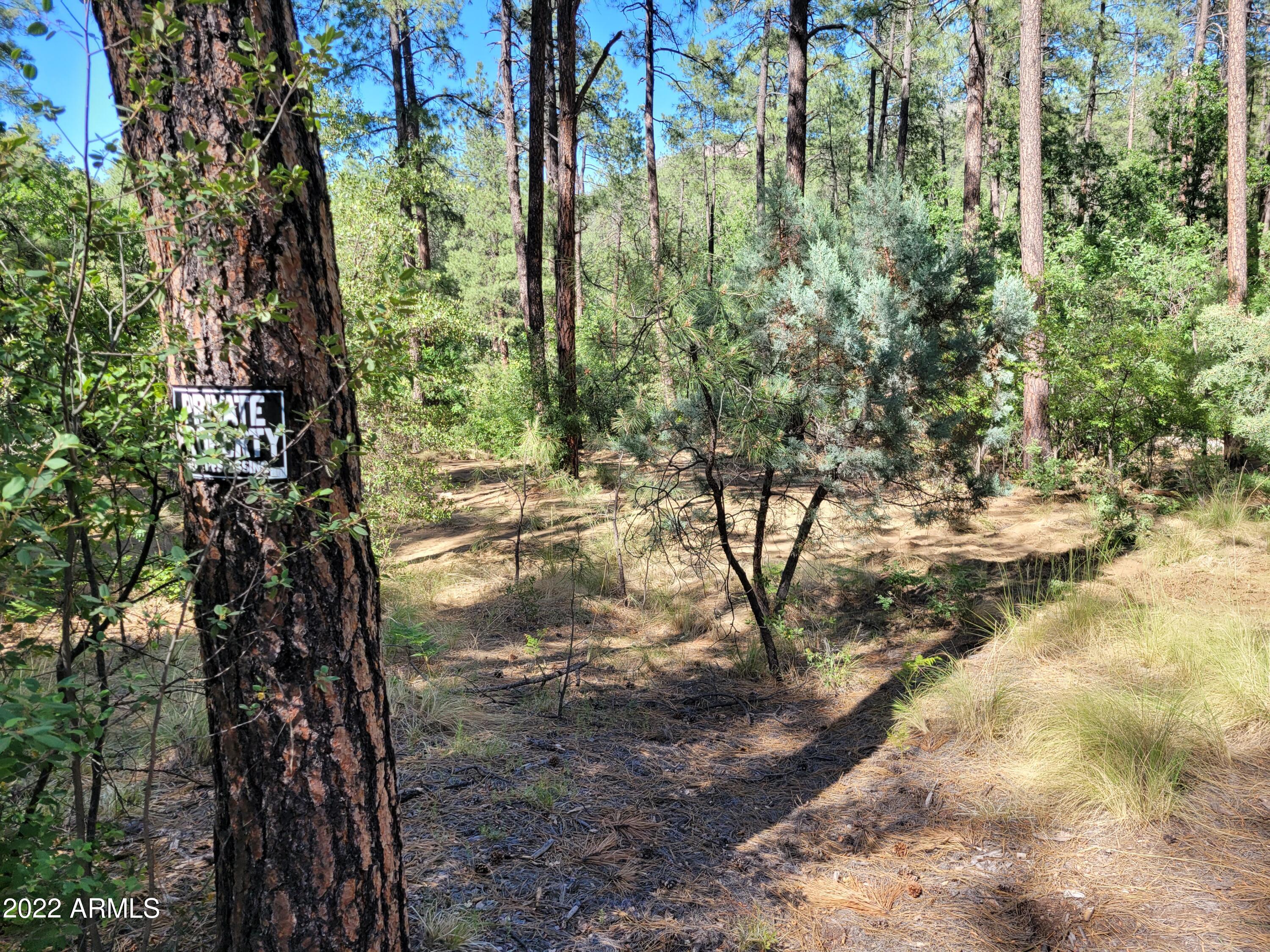 10 N Rose Creek Ranch Road # 10