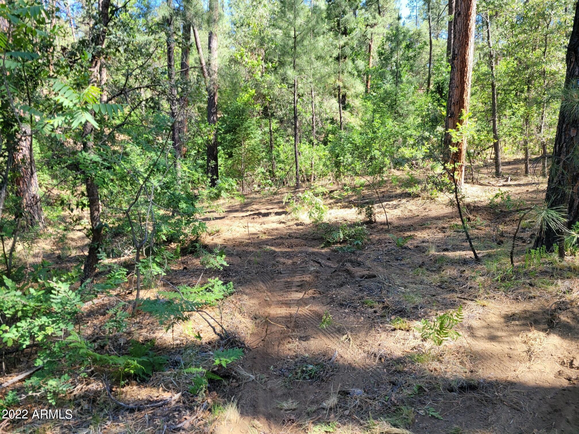 10 N Rose Creek Ranch Road # 10