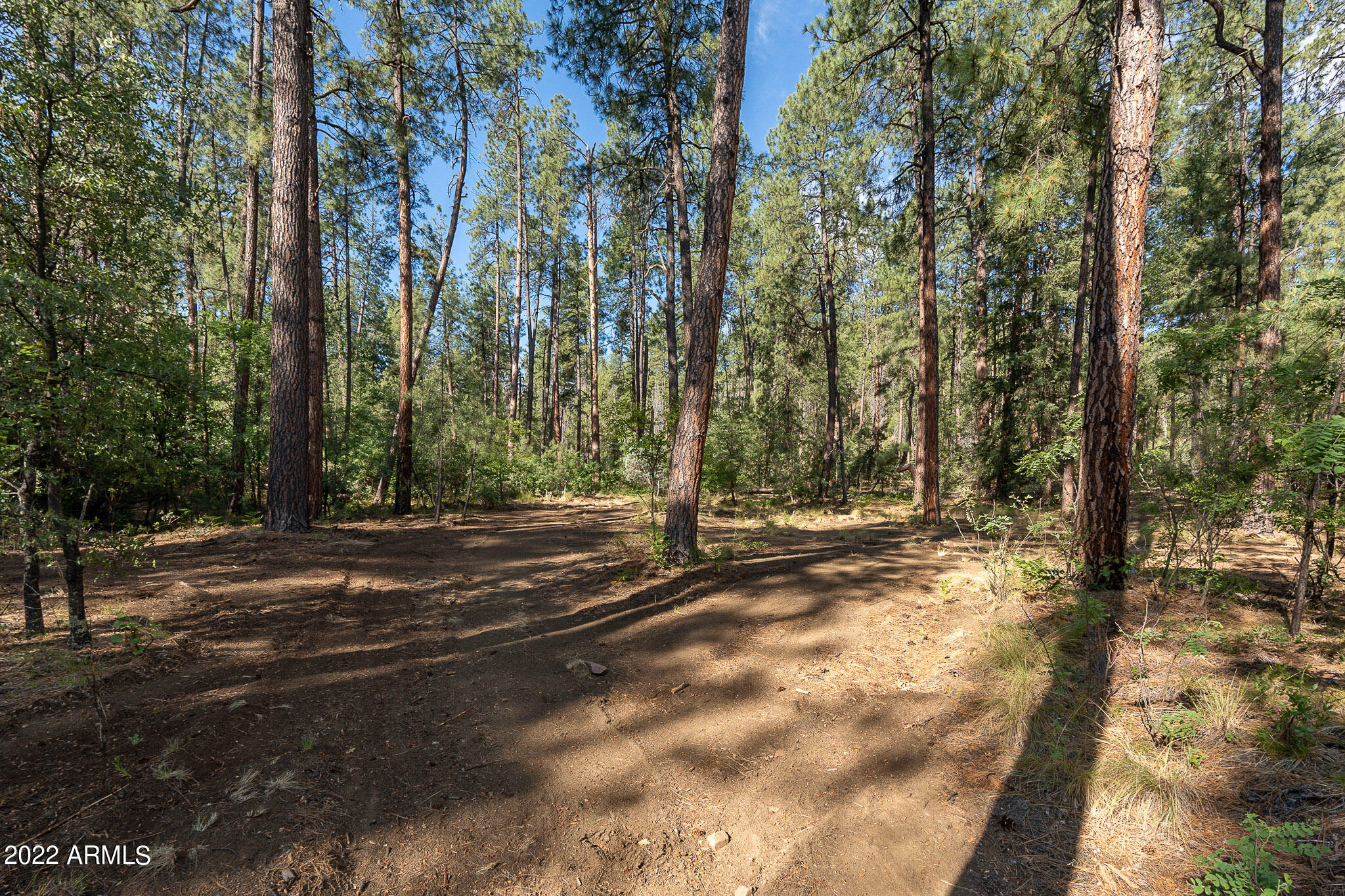 10 N Rose Creek Ranch Road # 10