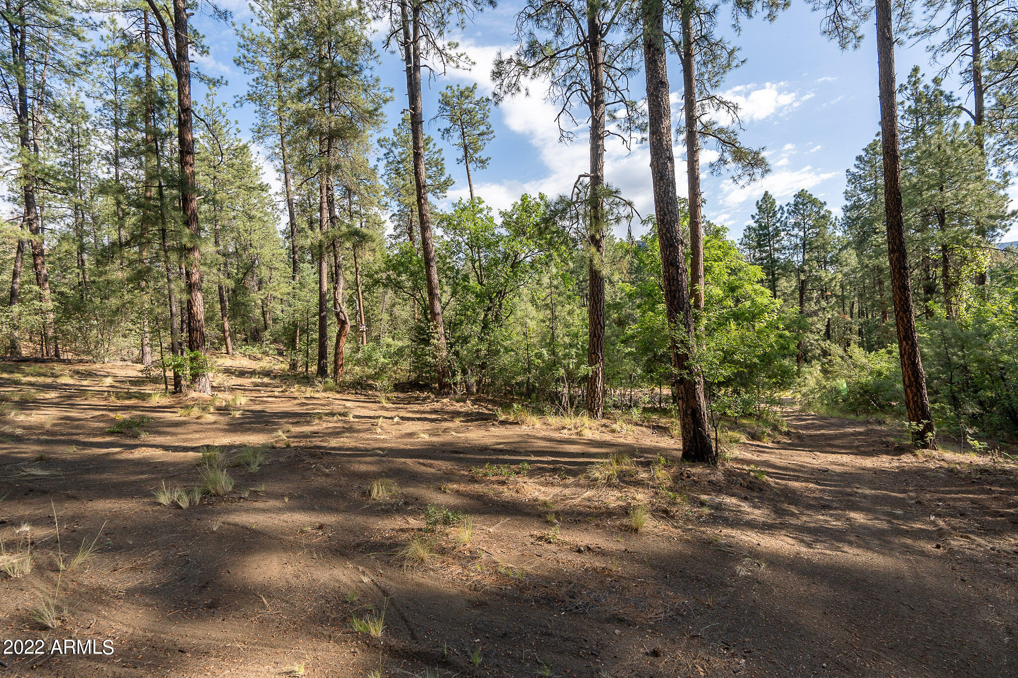 10 N Rose Creek Ranch Road # 10