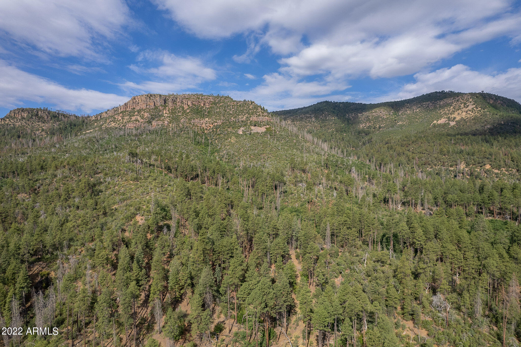 10 N Rose Creek Ranch Road # 10