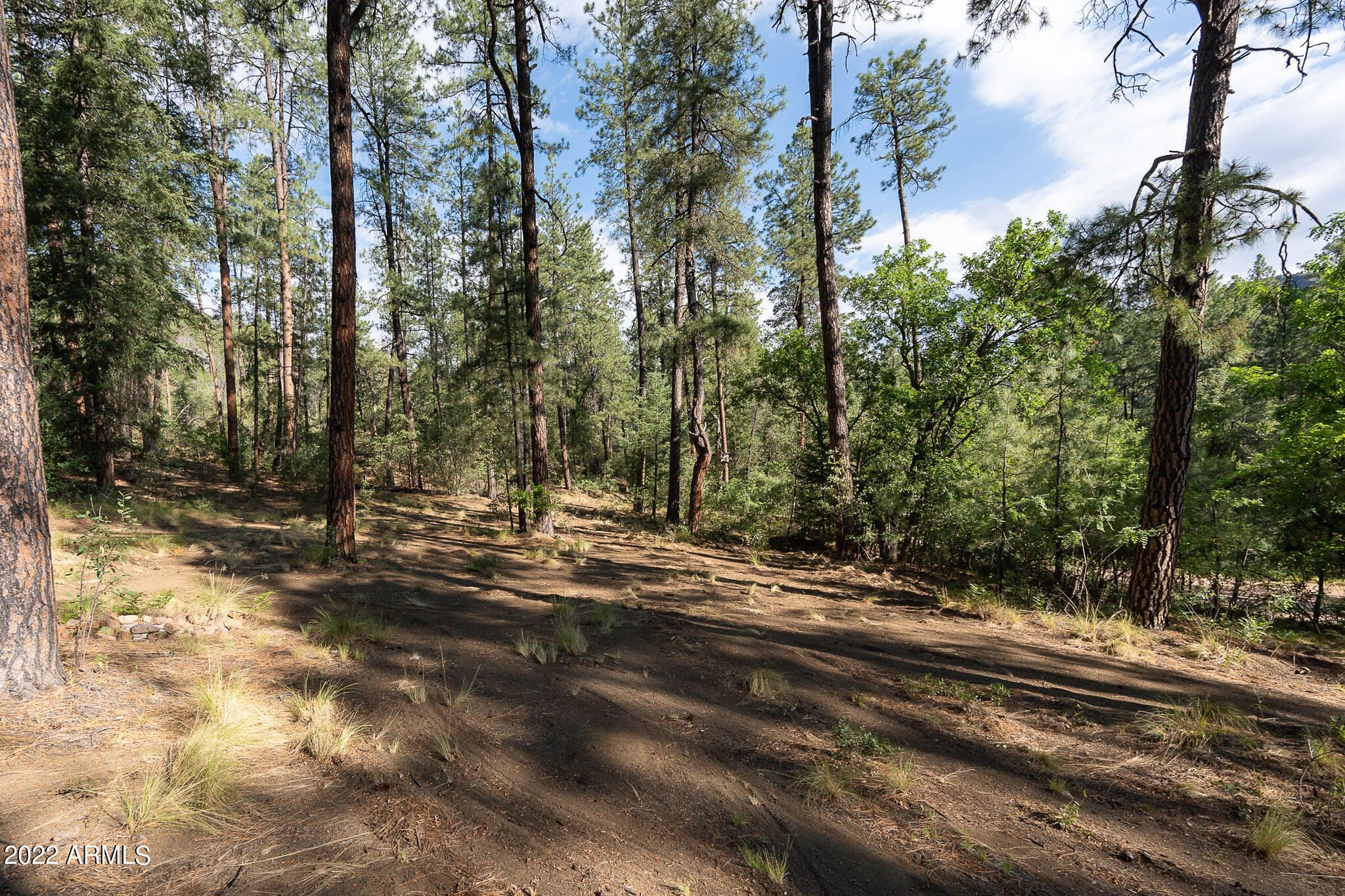 10 N Rose Creek Ranch Road # 10