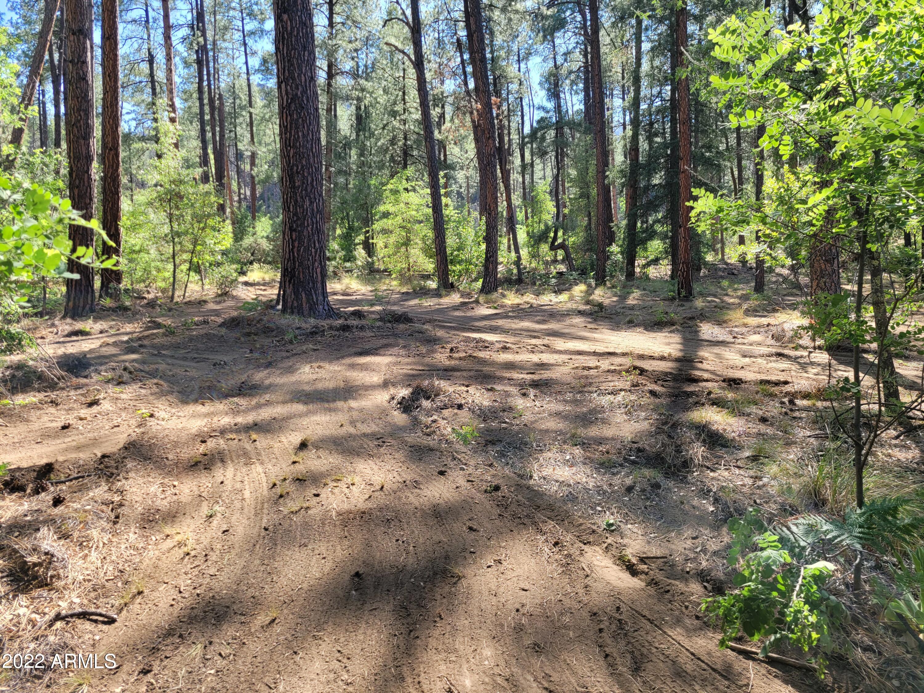 10 N Rose Creek Ranch Road # 10
