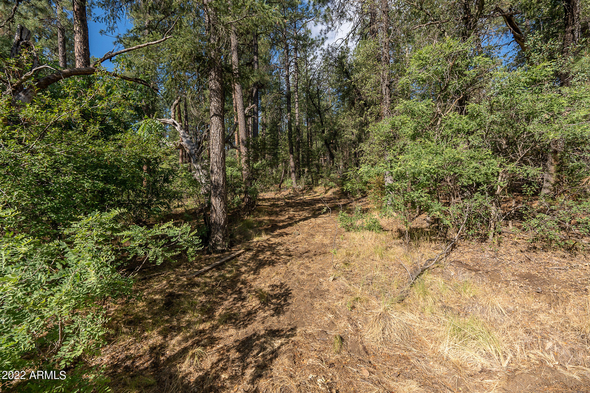 10 N Rose Creek Ranch Road # 10