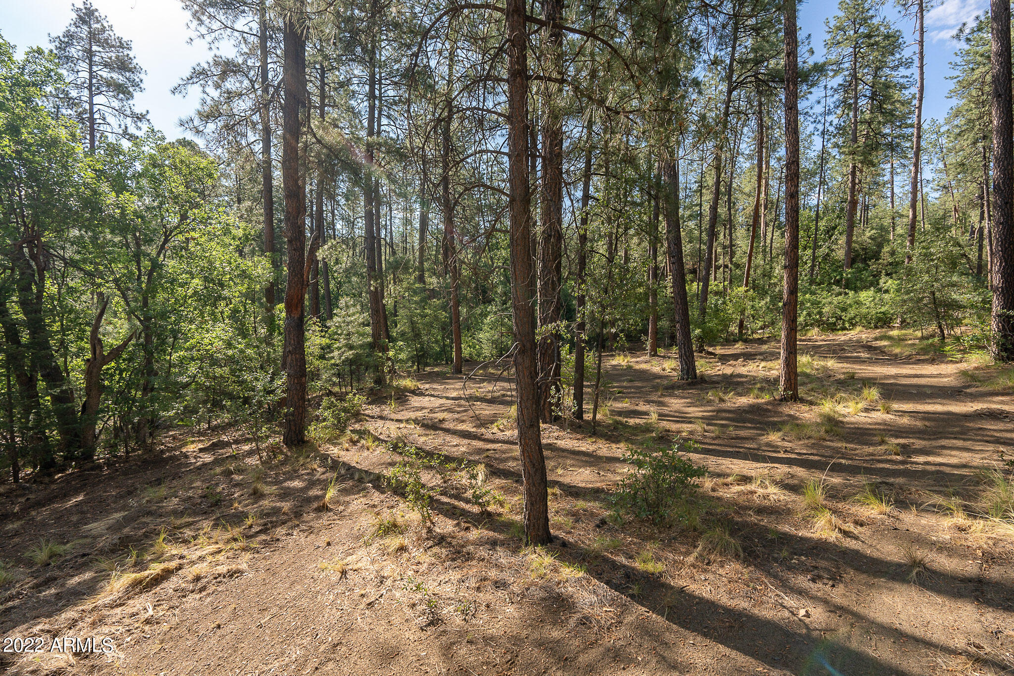 10 N Rose Creek Ranch Road # 10