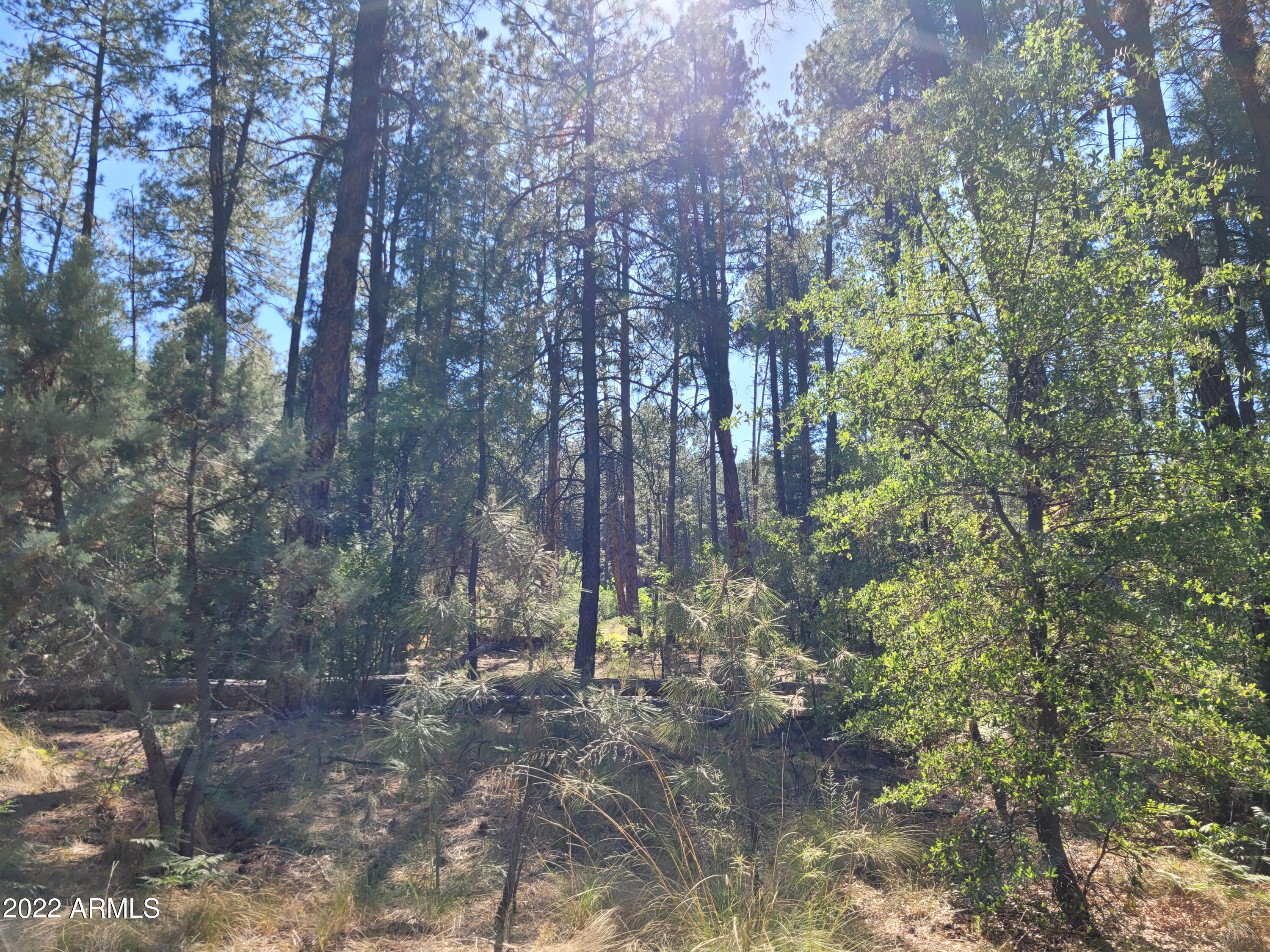 10 N Rose Creek Ranch Road # 10