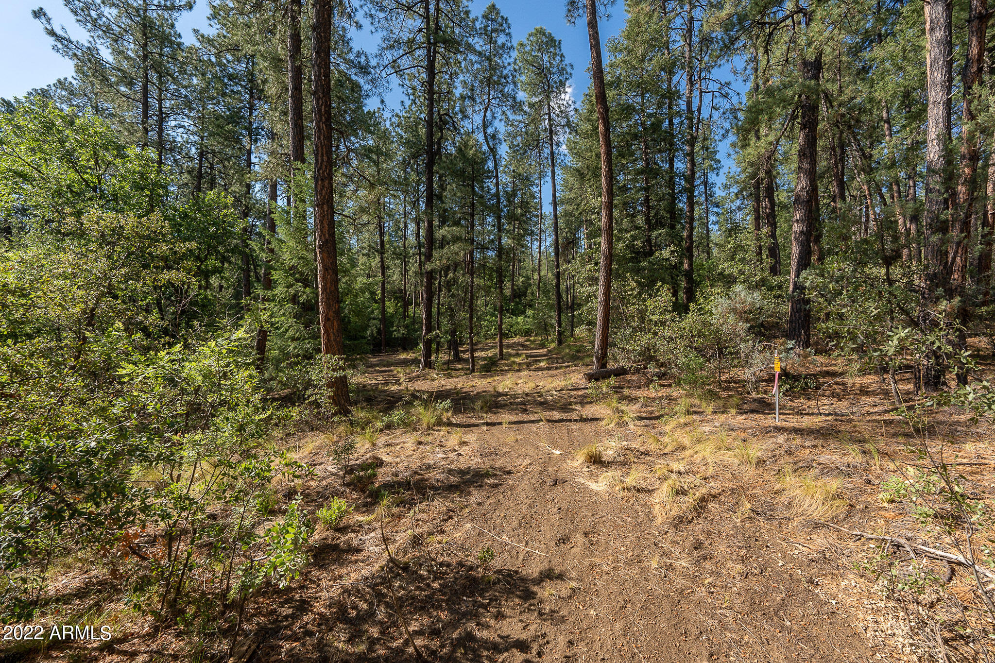 10 N Rose Creek Ranch Road # 10