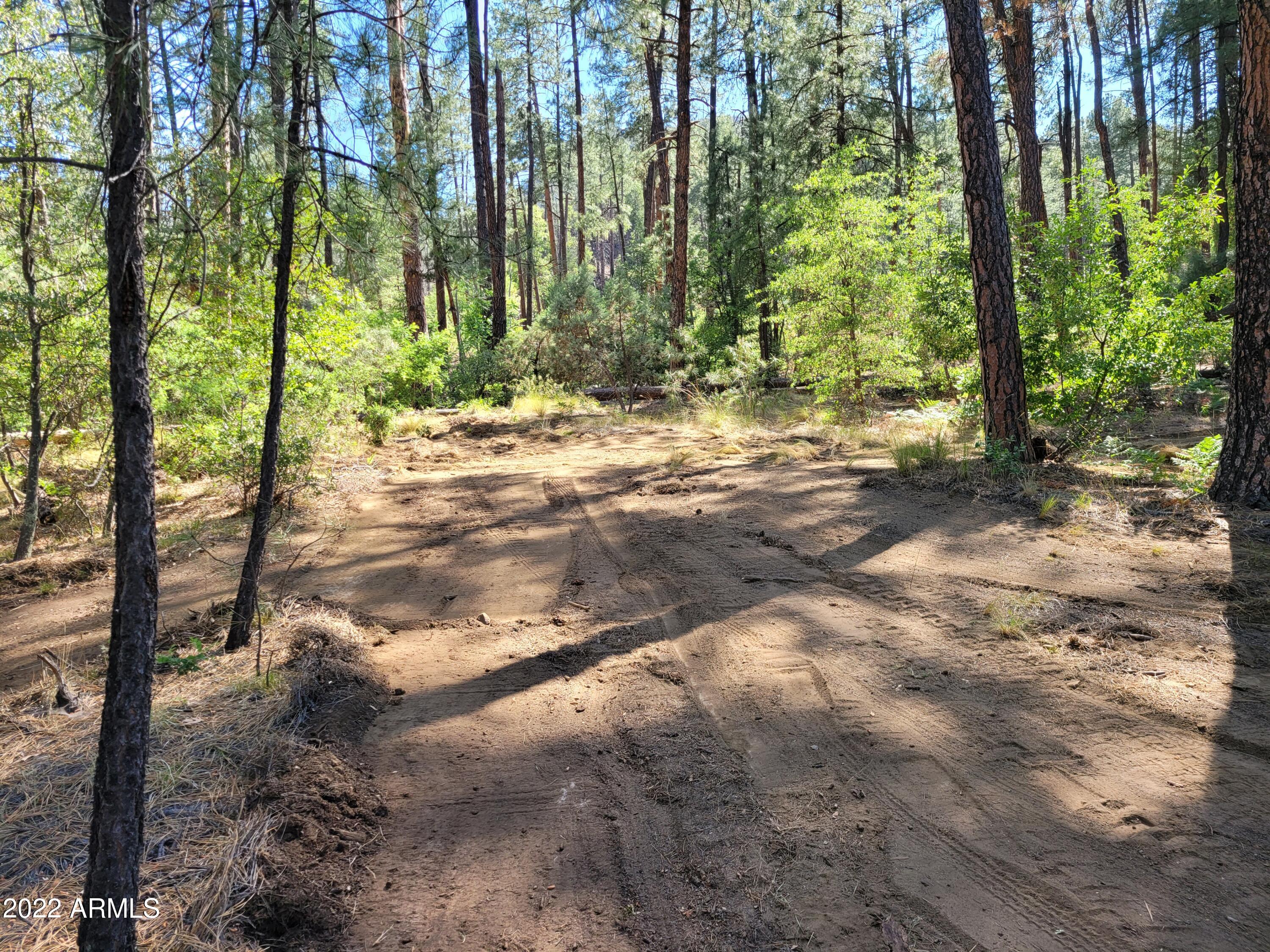 10 N Rose Creek Ranch Road # 10