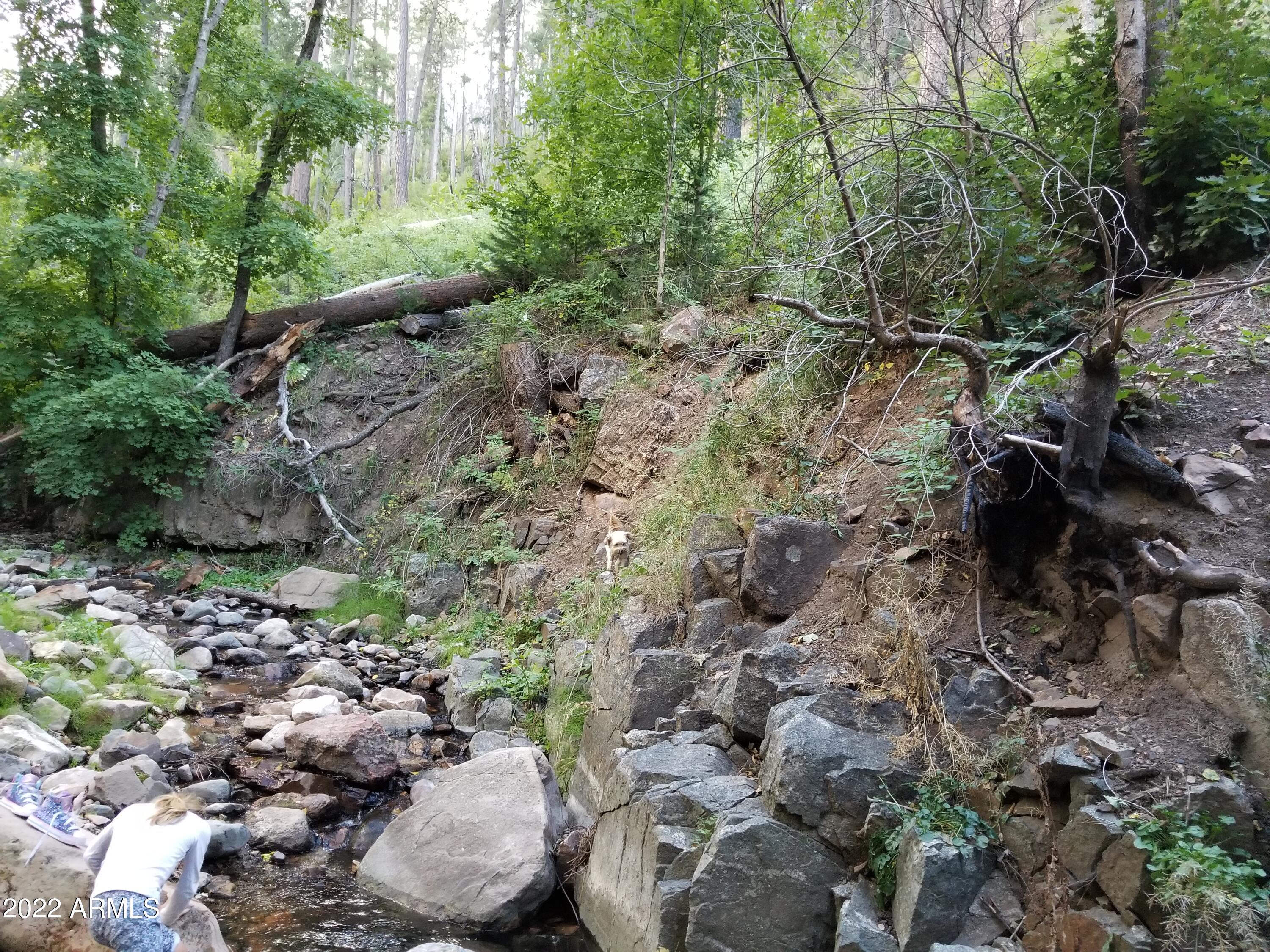 10 N Rose Creek Ranch Road # 10