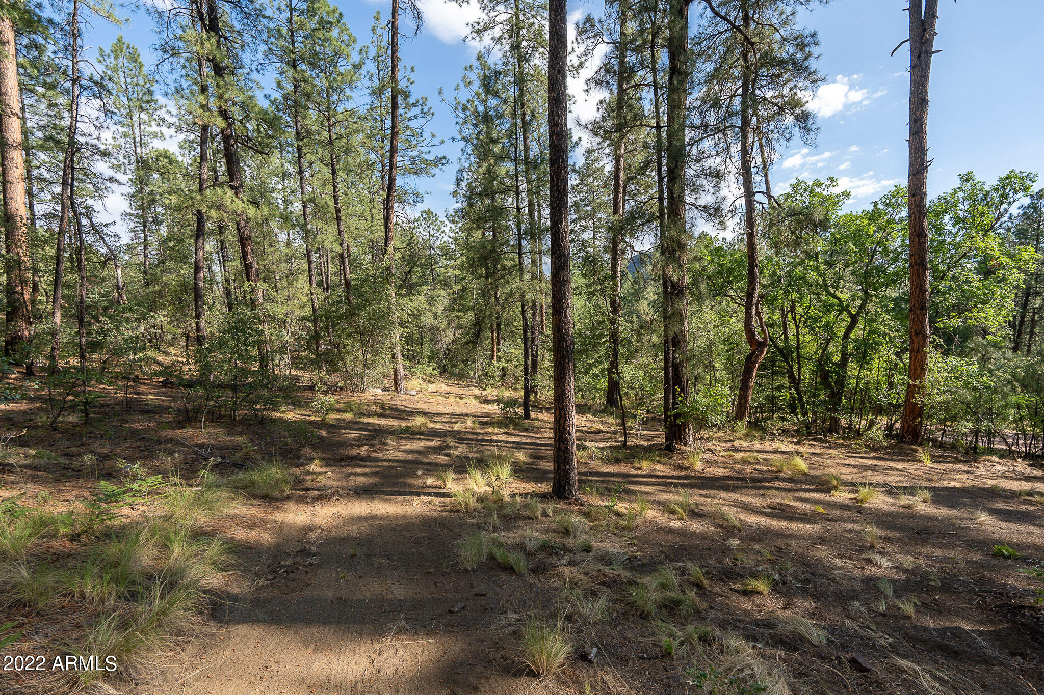10 N Rose Creek Ranch Road # 10