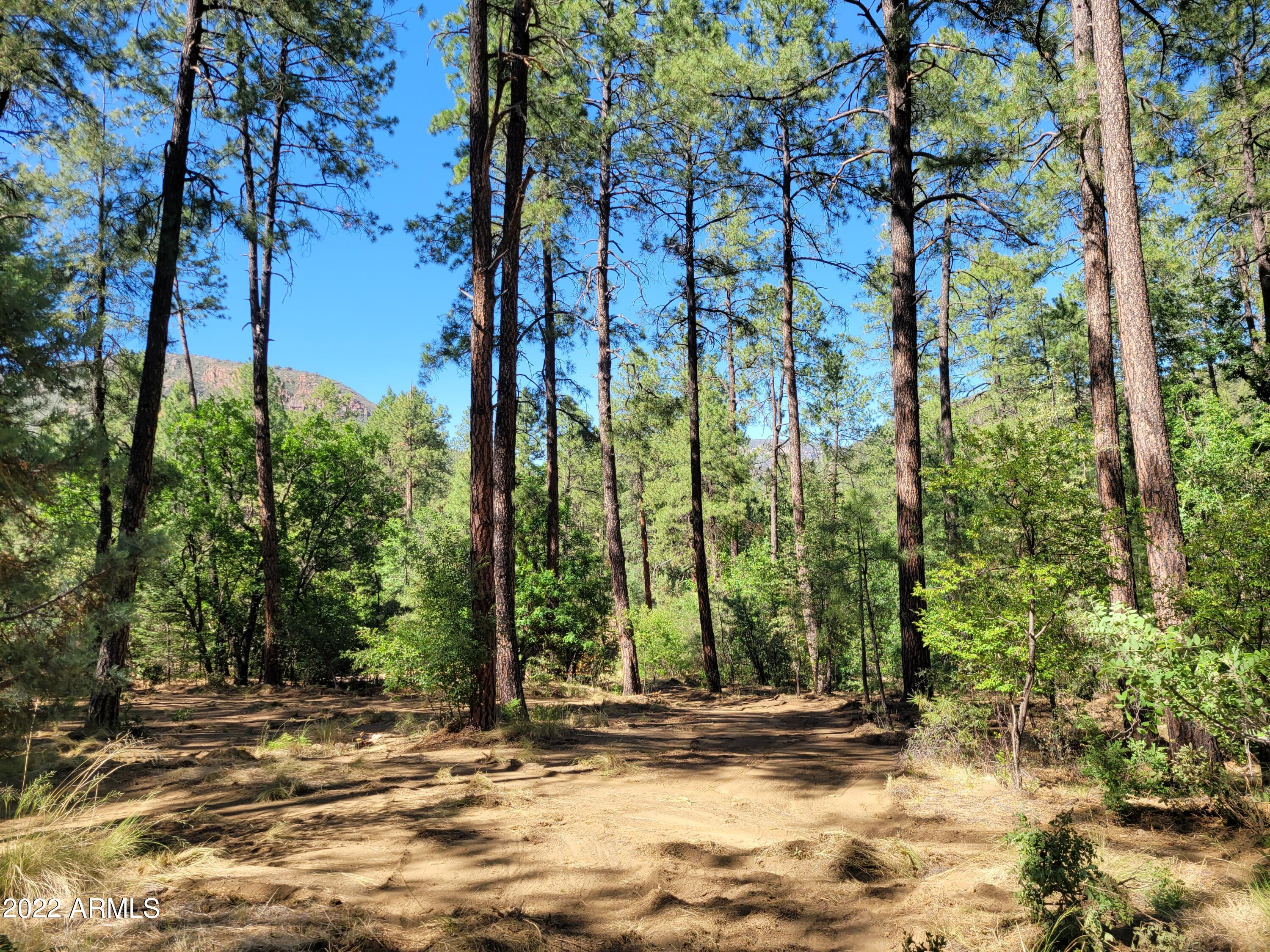 10 N Rose Creek Ranch Road # 10