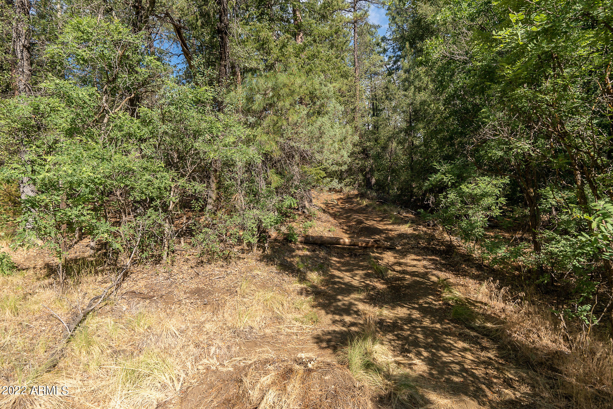 10 N Rose Creek Ranch Road # 10