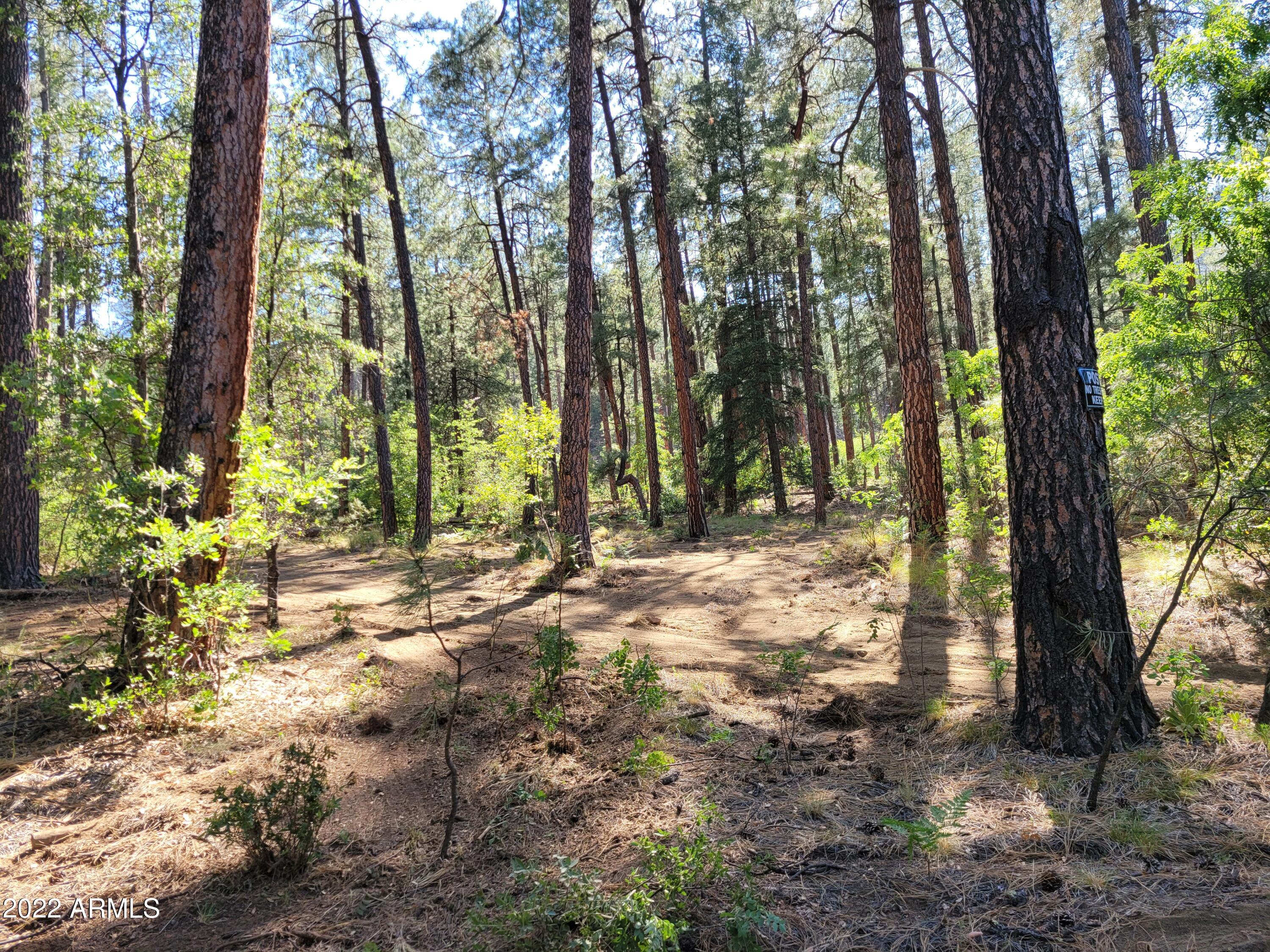 10 N Rose Creek Ranch Road # 10