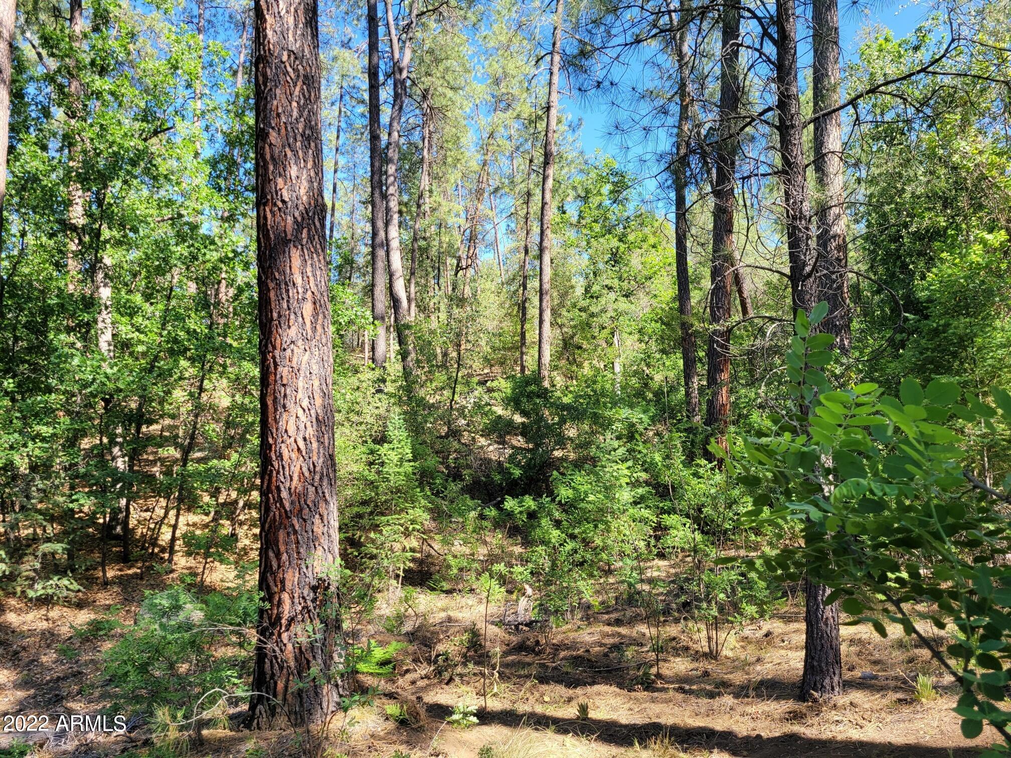 10 N Rose Creek Ranch Road # 10