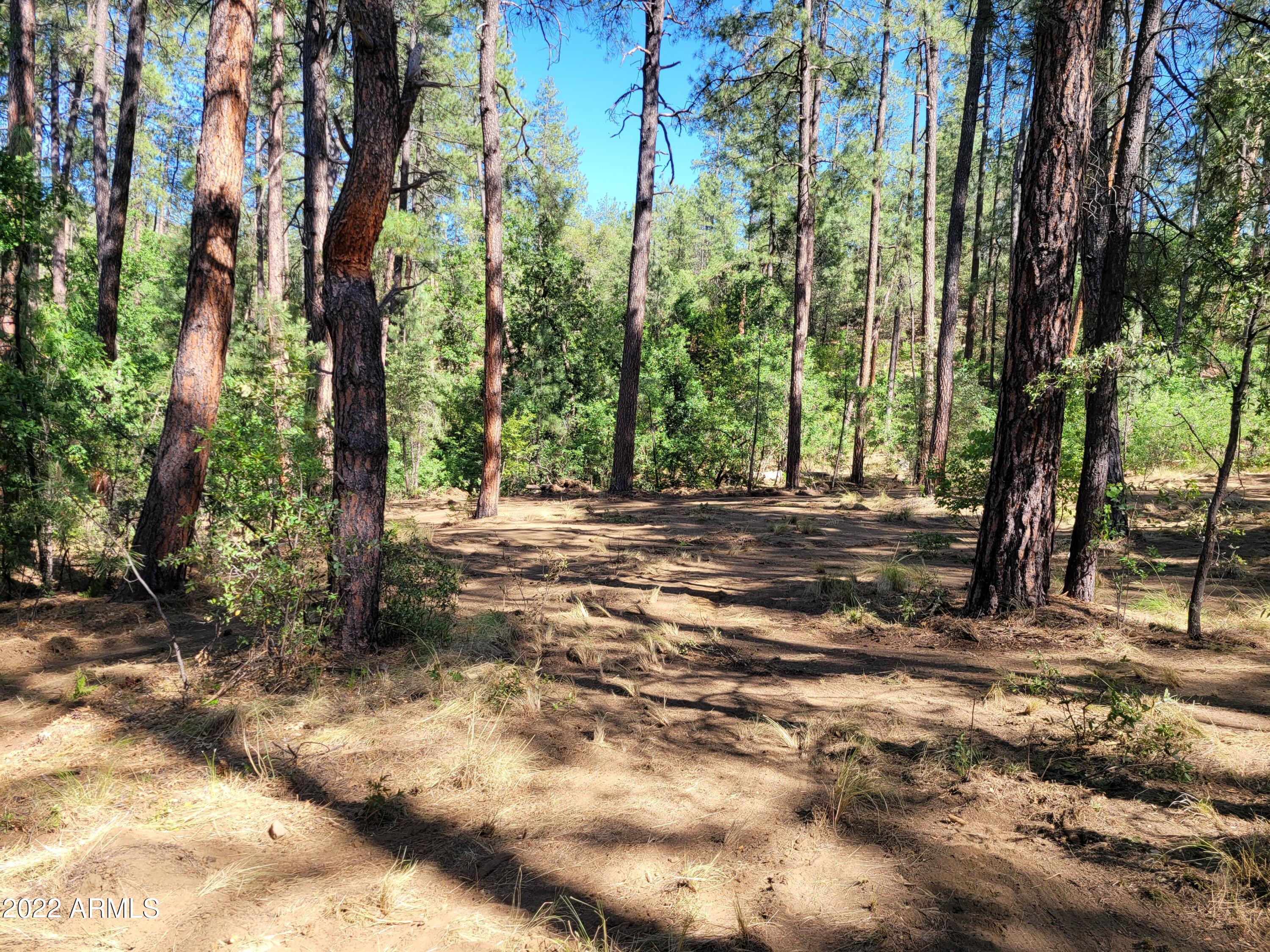 10 N Rose Creek Ranch Road # 10