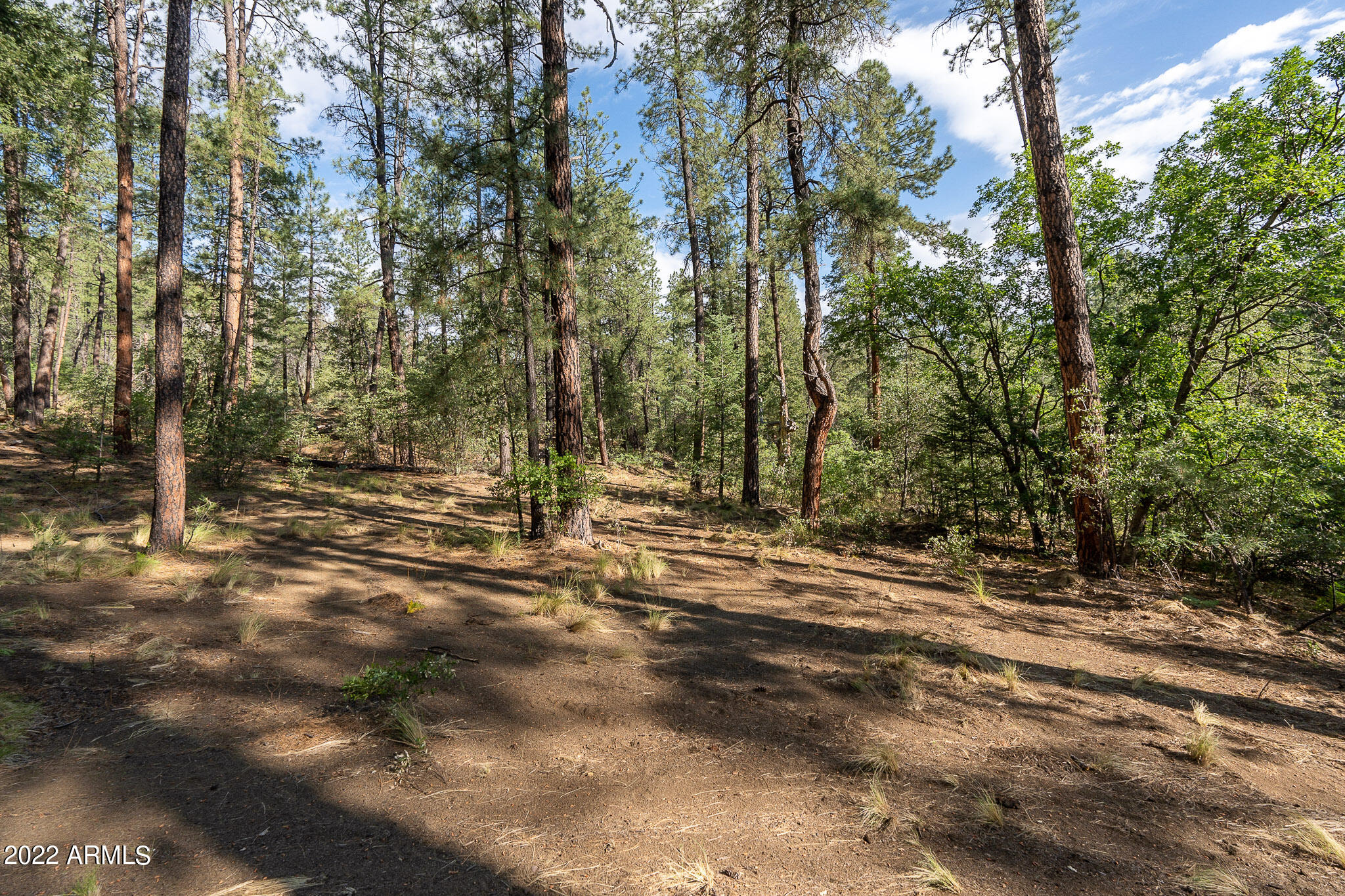 10 N Rose Creek Ranch Road # 10