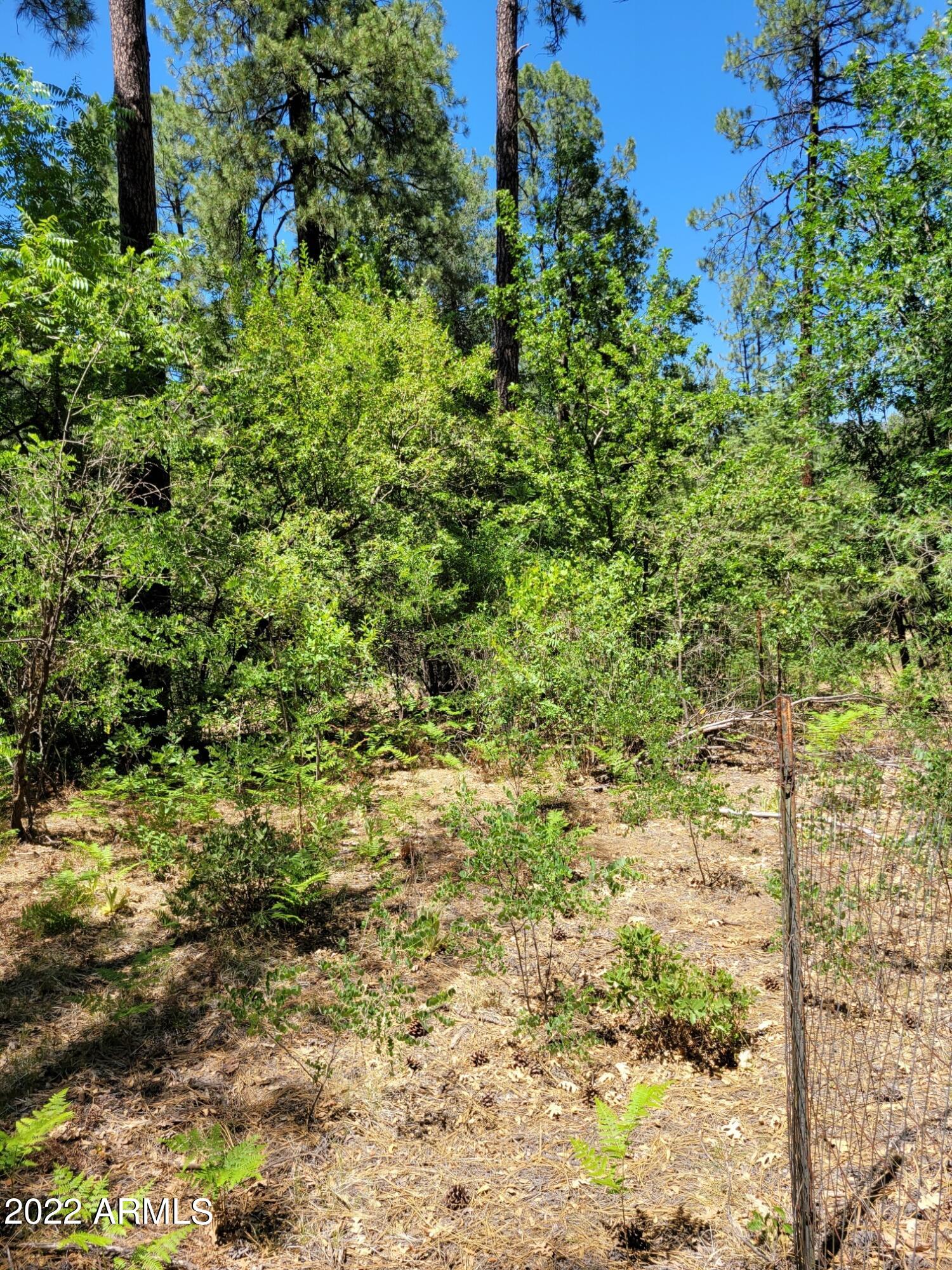 10 N Rose Creek Ranch Road # 10