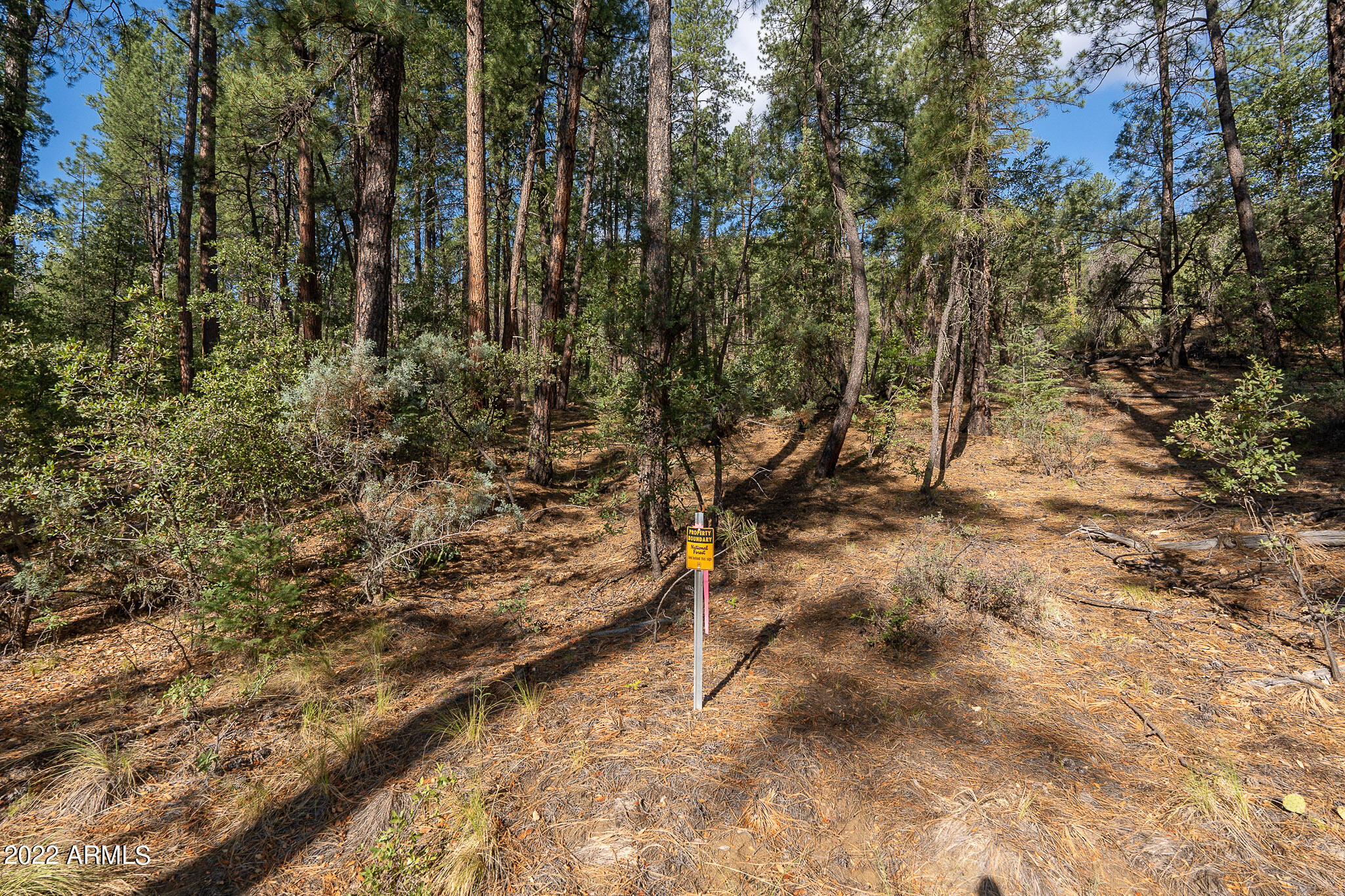 10 N Rose Creek Ranch Road # 10