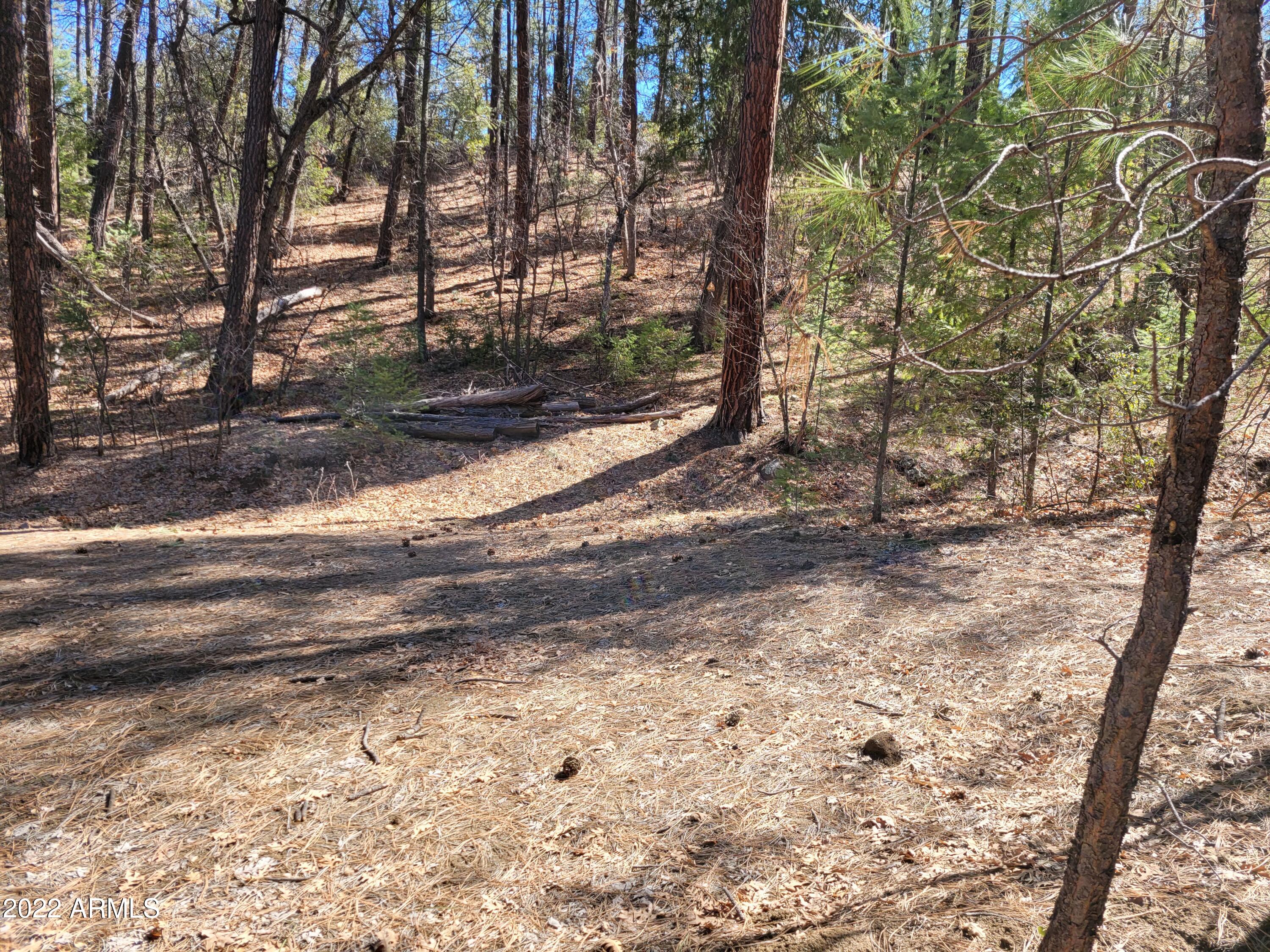 10 N Rose Creek Ranch Road # 10