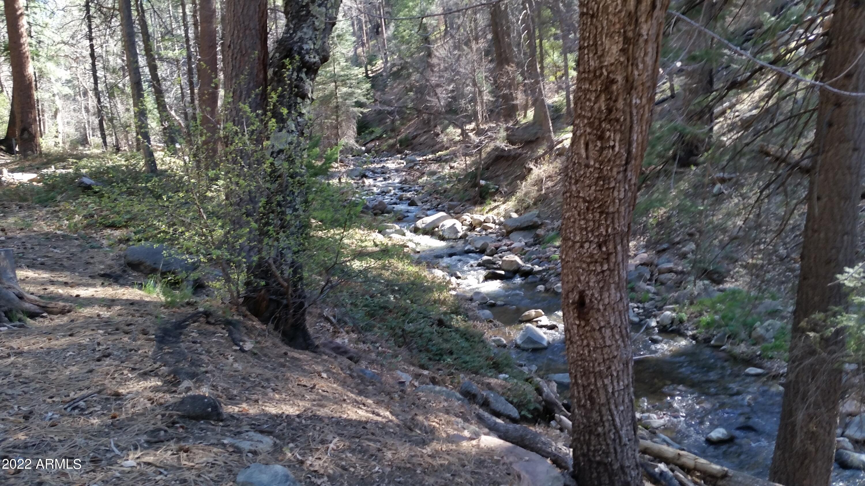 10 N Rose Creek Ranch Road # 10