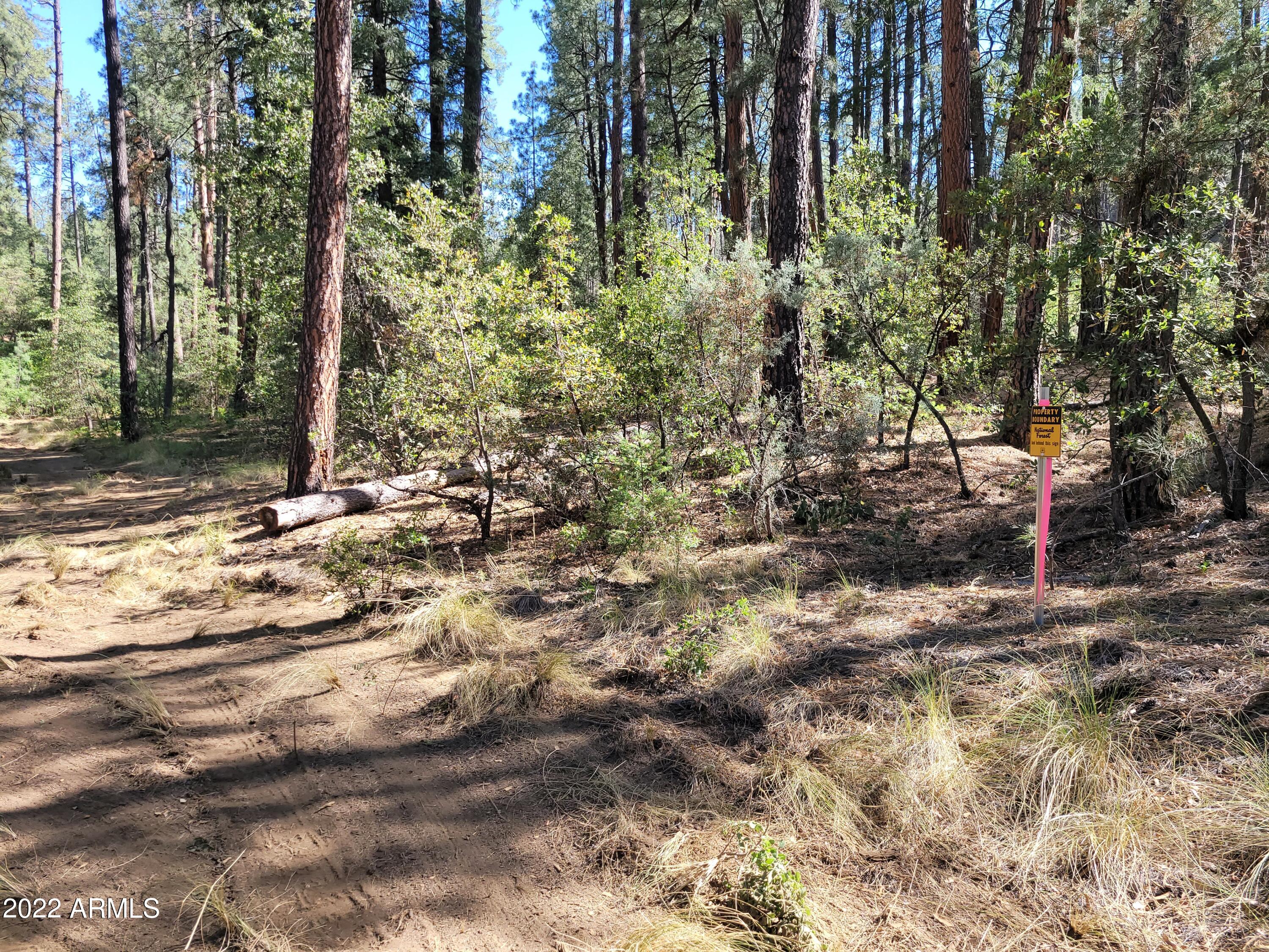10 N Rose Creek Ranch Road # 10