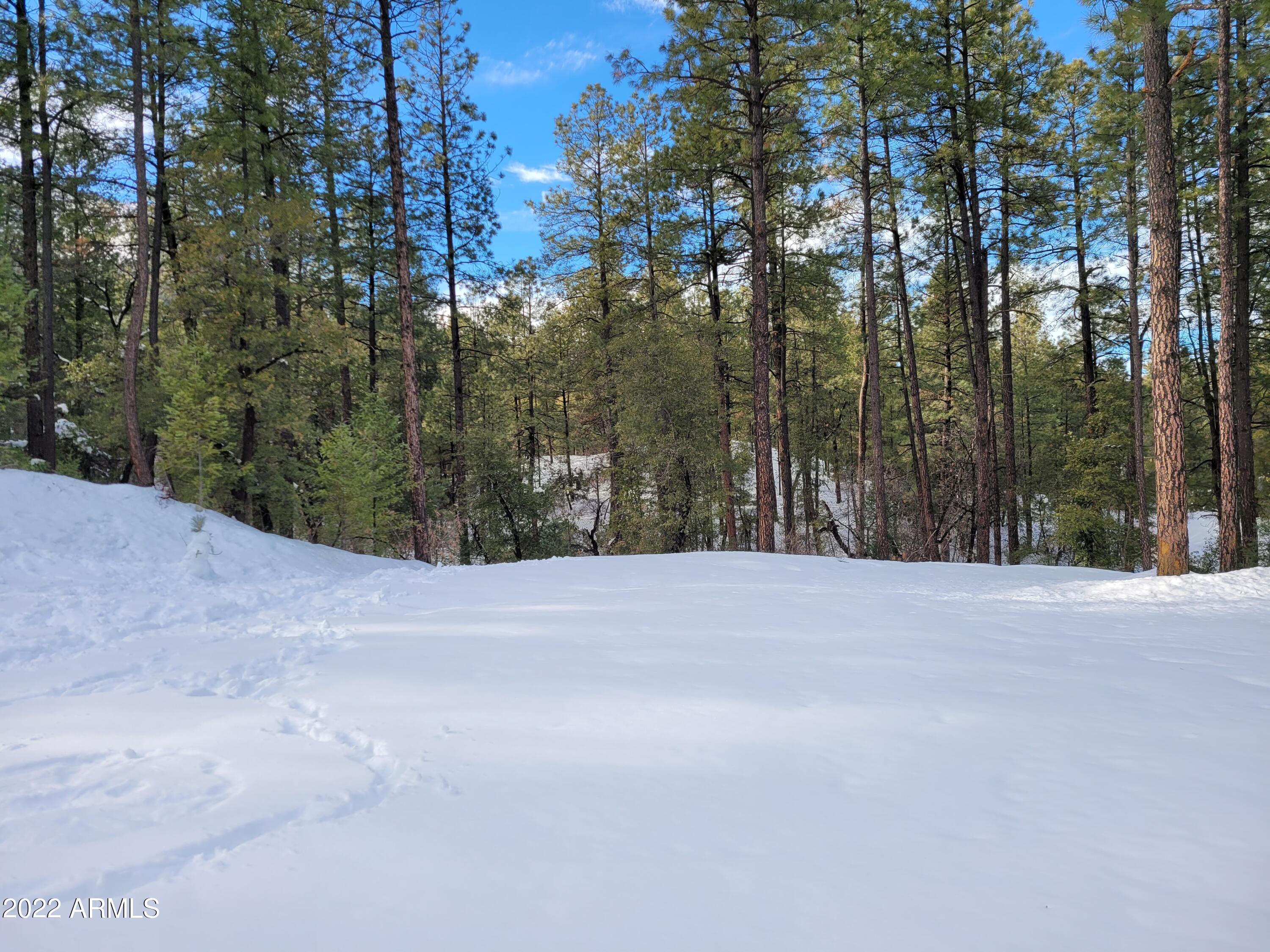 10 N Rose Creek Ranch Road # 10