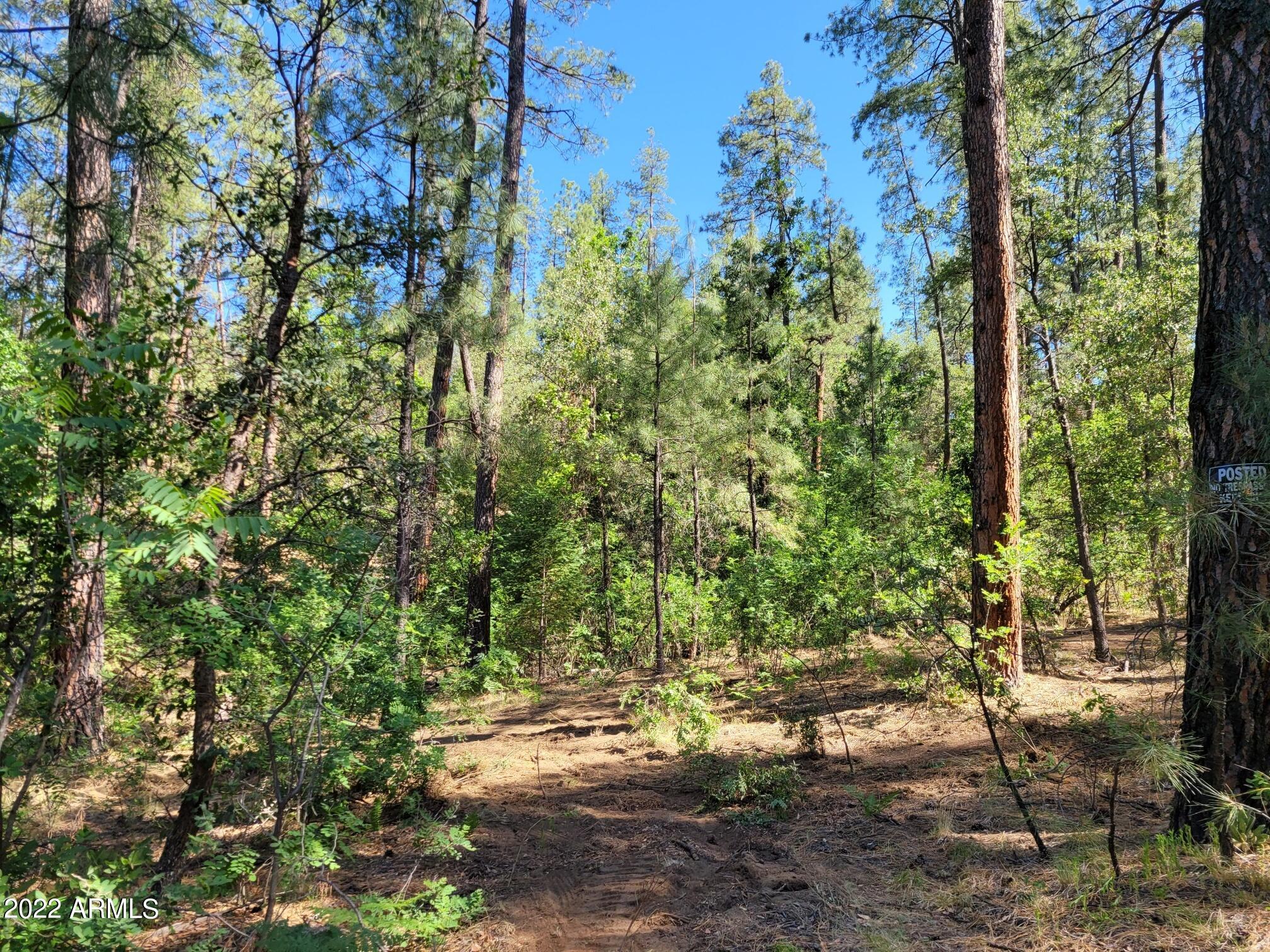 10 N Rose Creek Ranch Road # 10
