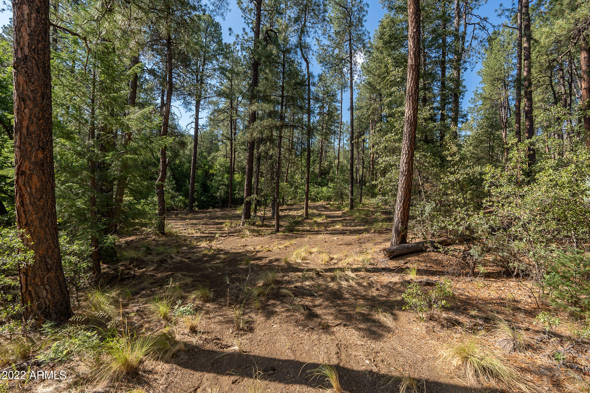 10 N Rose Creek Ranch Road # 10