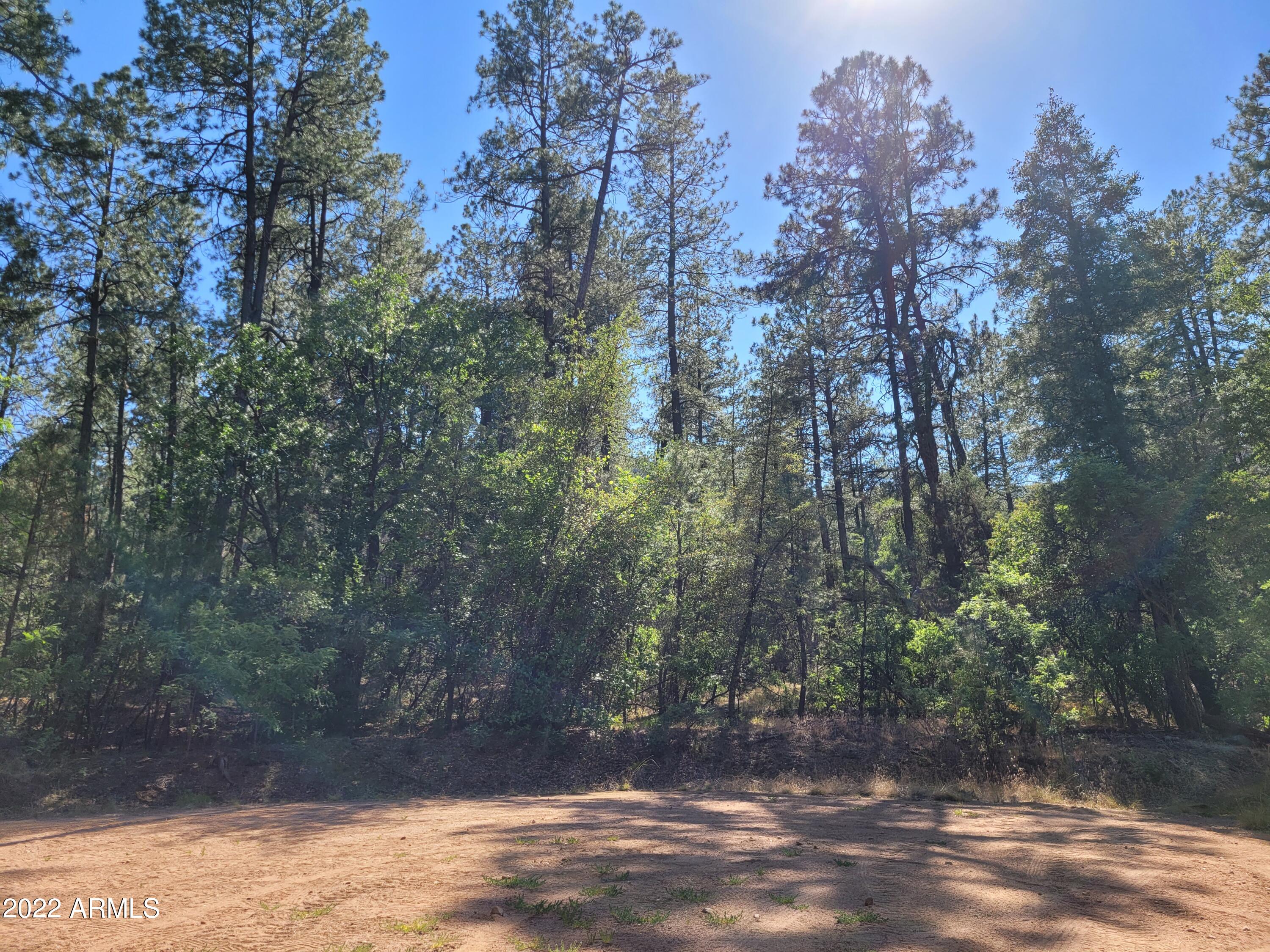 10 N Rose Creek Ranch Road # 10