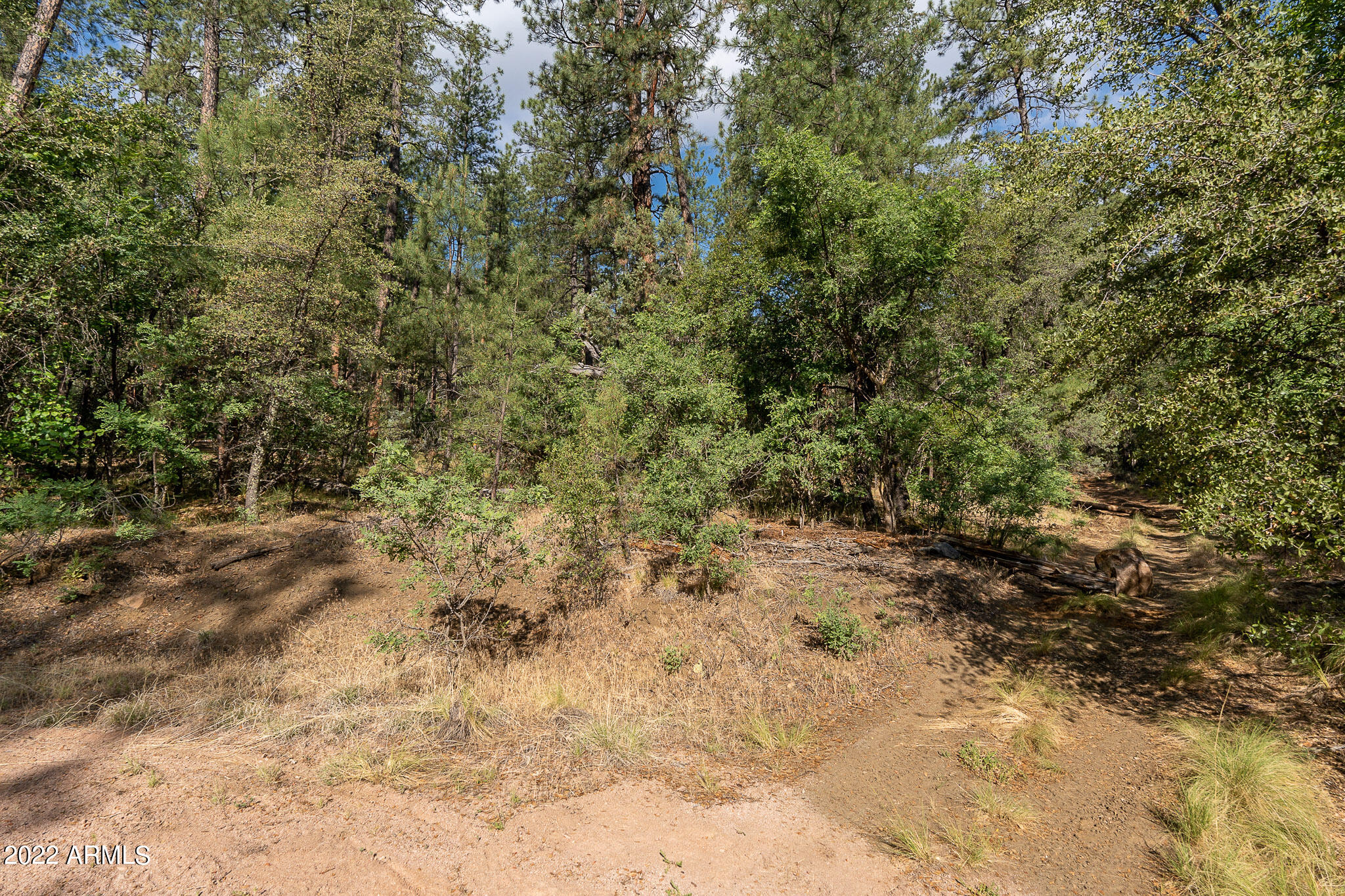 10 N Rose Creek Ranch Road # 10
