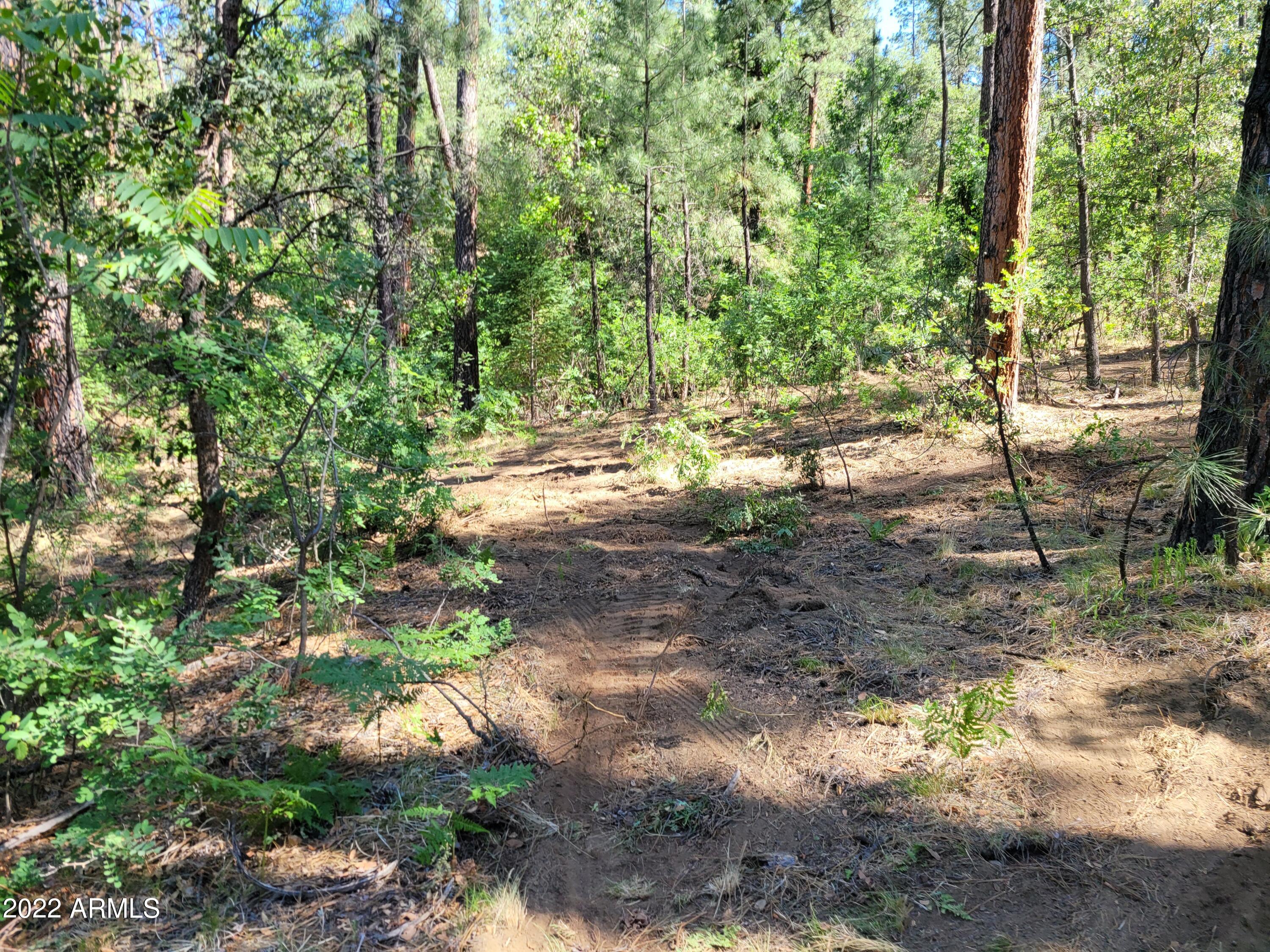 10 N Rose Creek Ranch Road # 10
