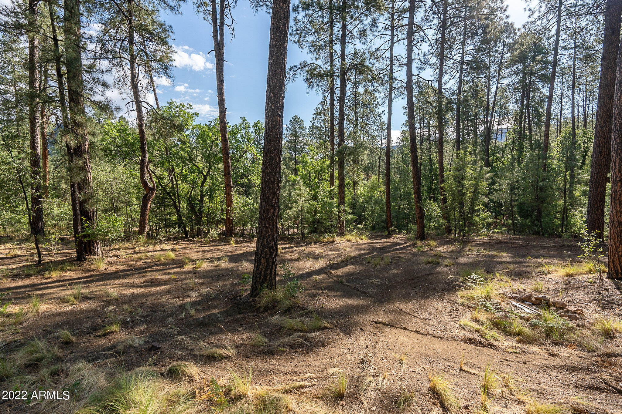 10 N Rose Creek Ranch Road # 10