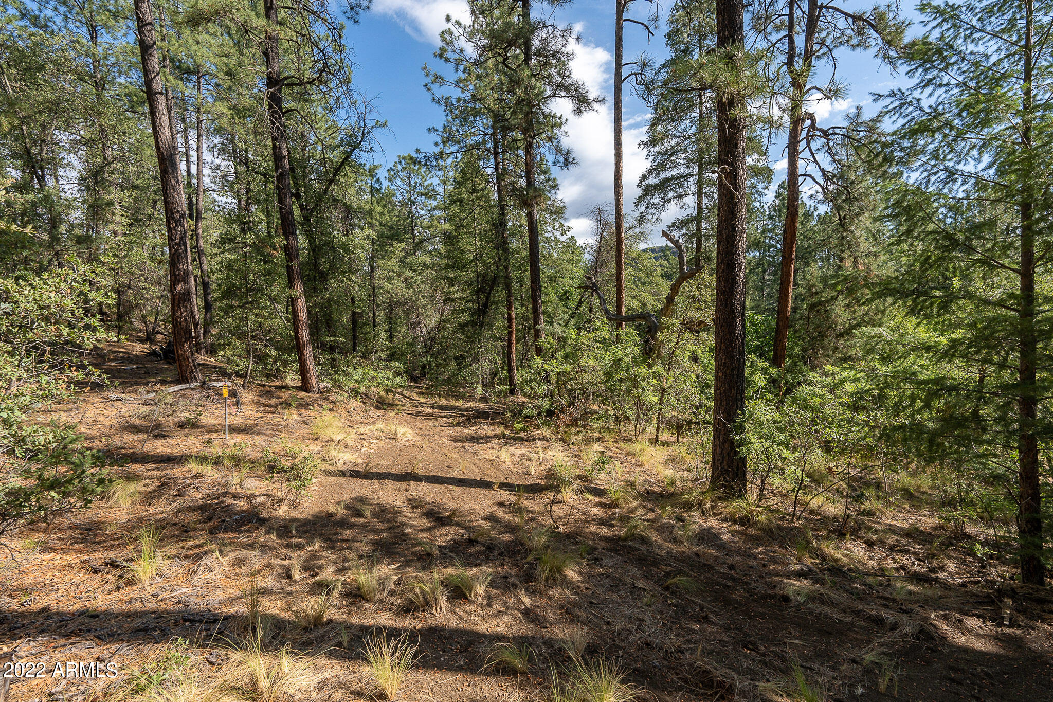 10 N Rose Creek Ranch Road # 10