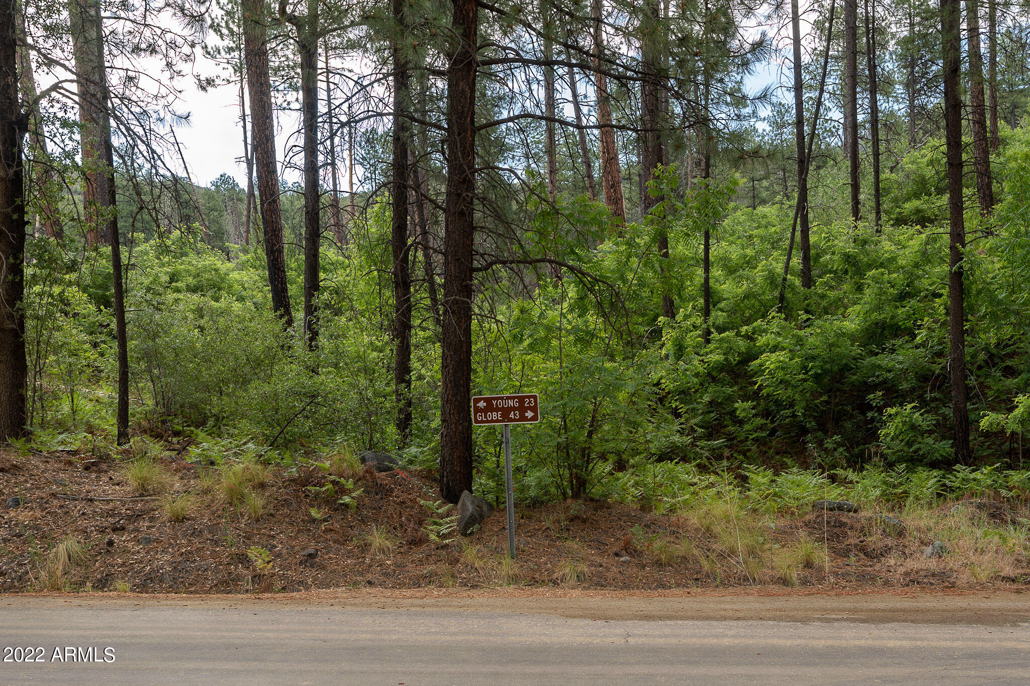10 N Rose Creek Ranch Road # 10