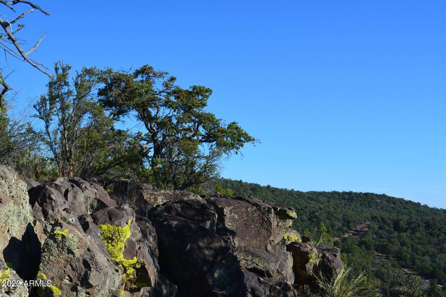 44600 N SHADOW ROCK Trail Unit: -