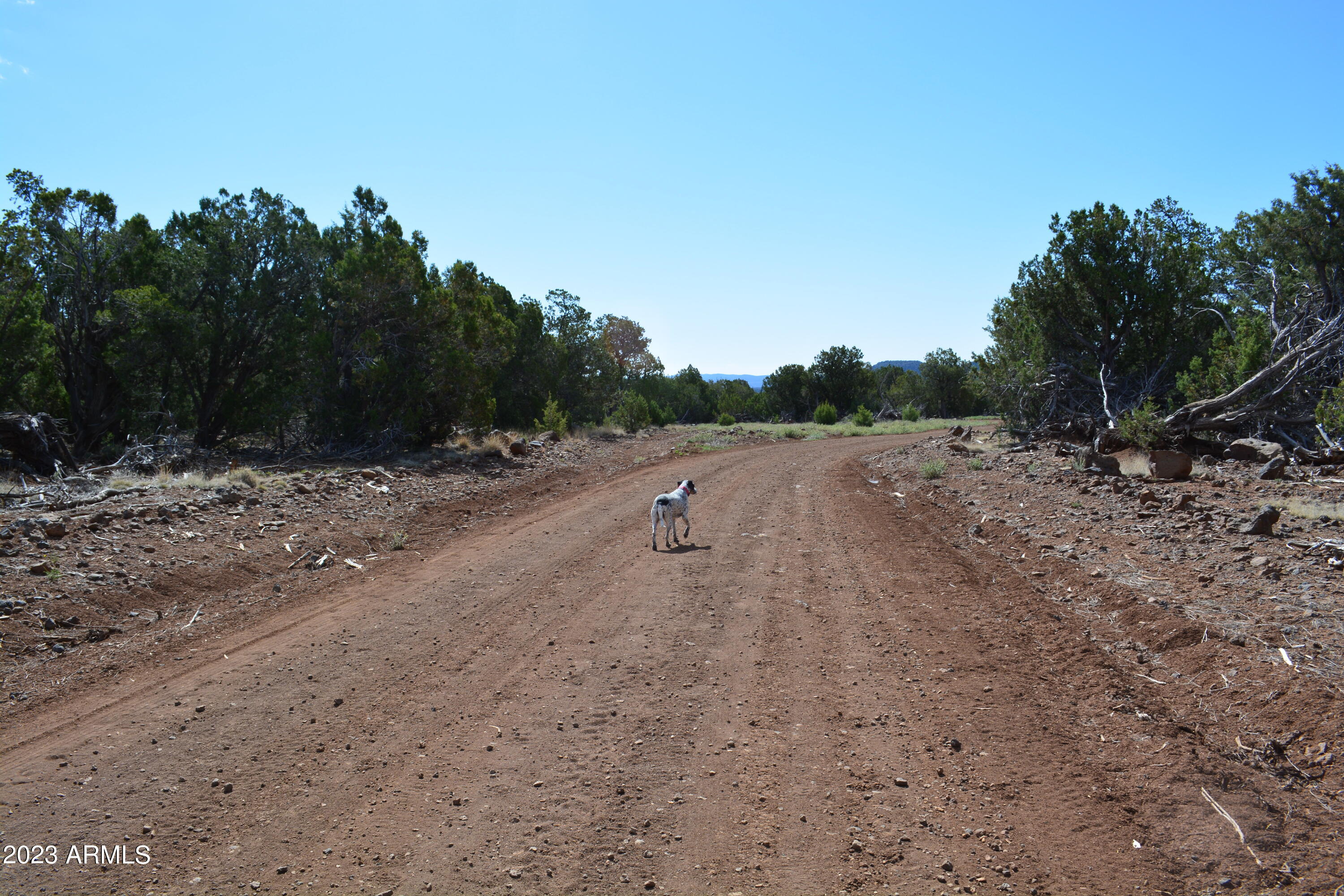 44600 N SHADOW ROCK Trail Unit: -