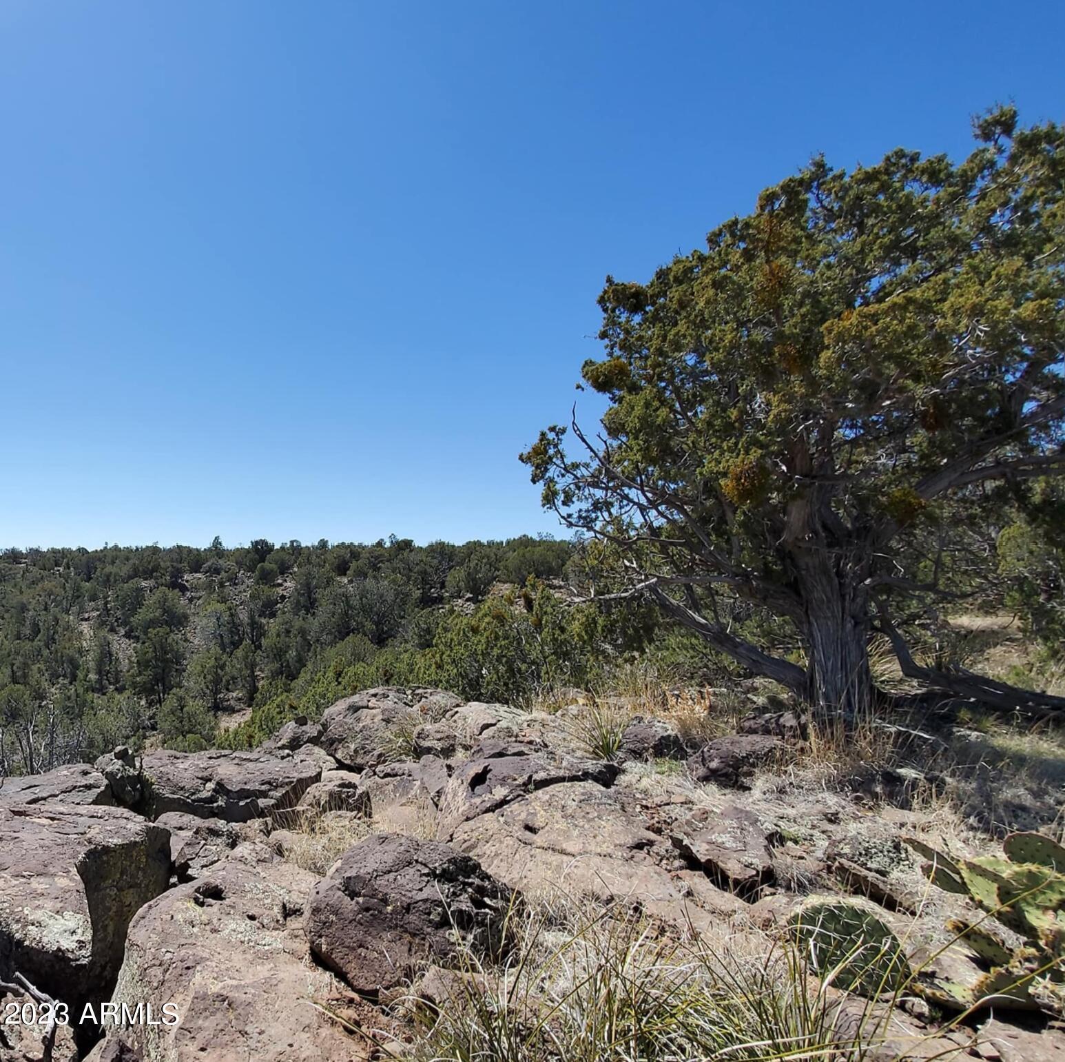 44600 N SHADOW ROCK Trail Unit: -