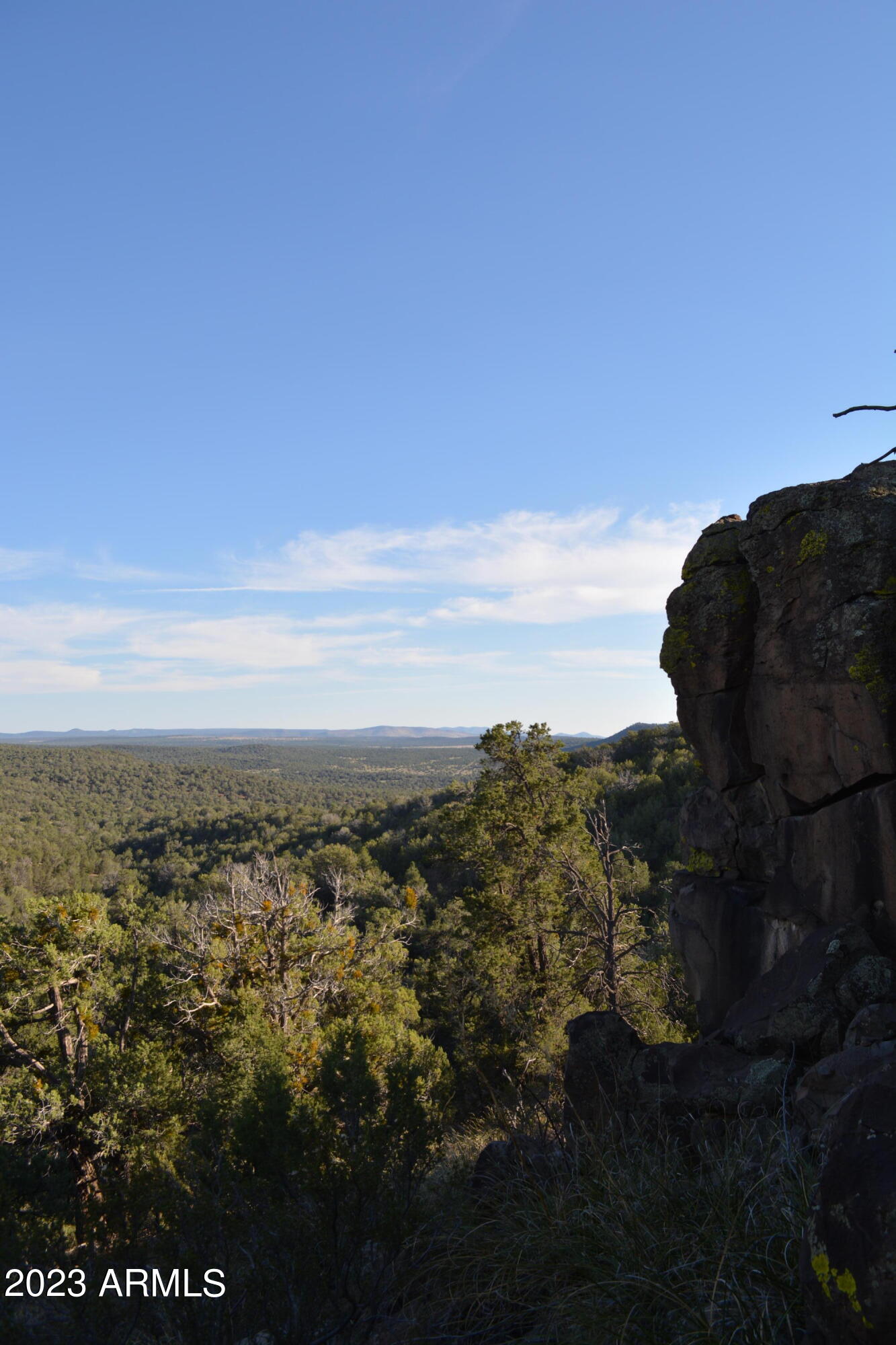 44600 N SHADOW ROCK Trail Unit: -