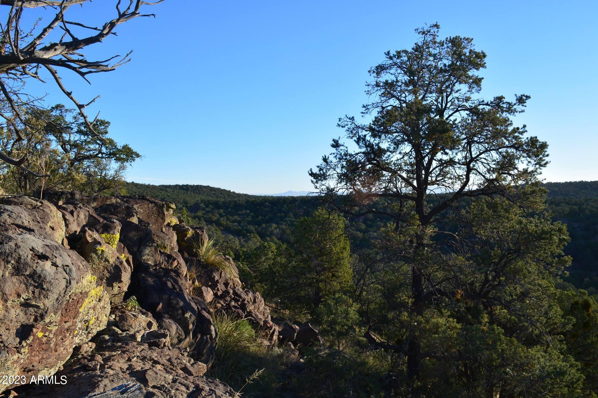 44600 N SHADOW ROCK Trail Unit: -