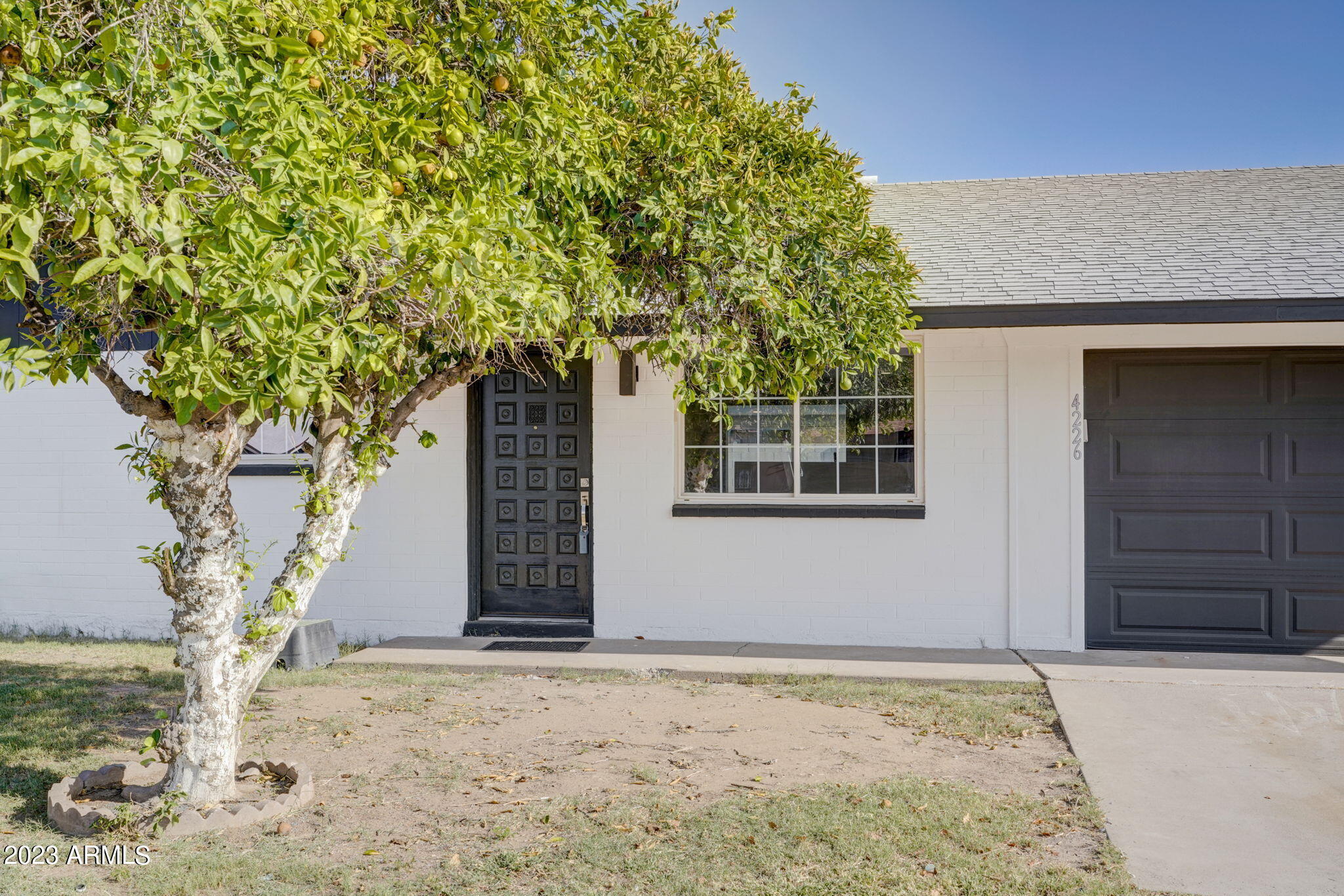 4226 W LAS PALMARITAS Drive