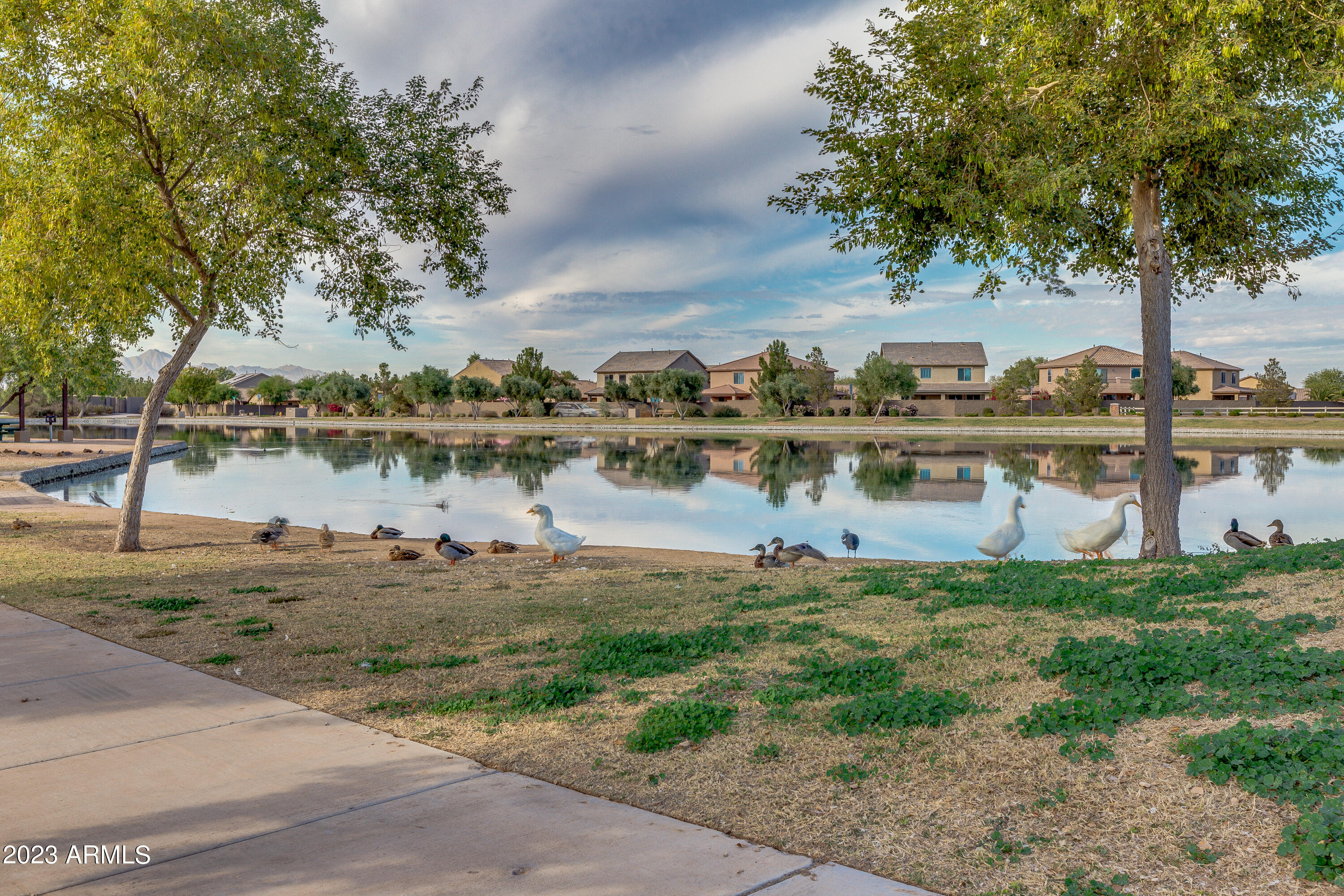 41346 W LUCERA Lane