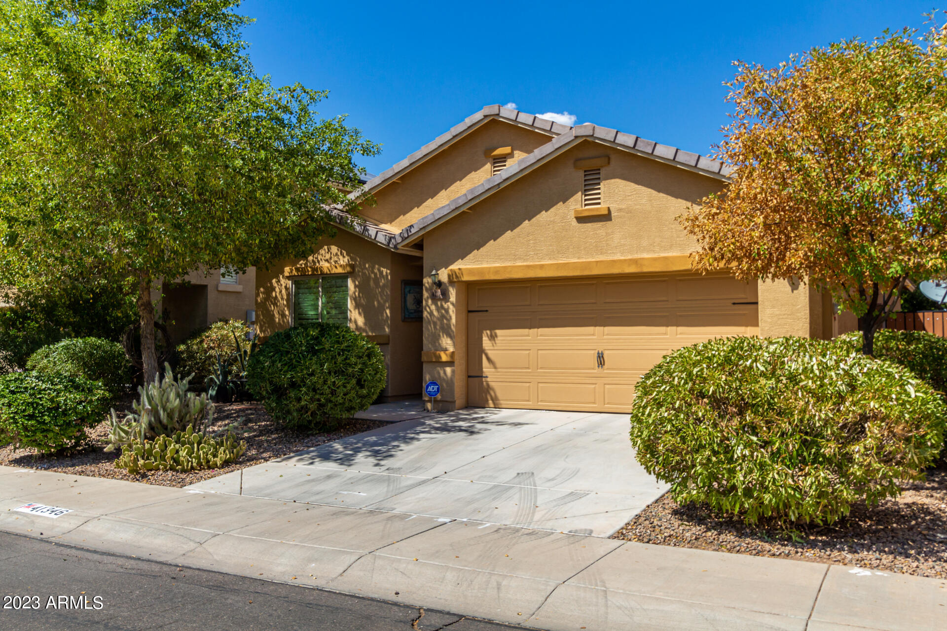 41346 W LUCERA Lane