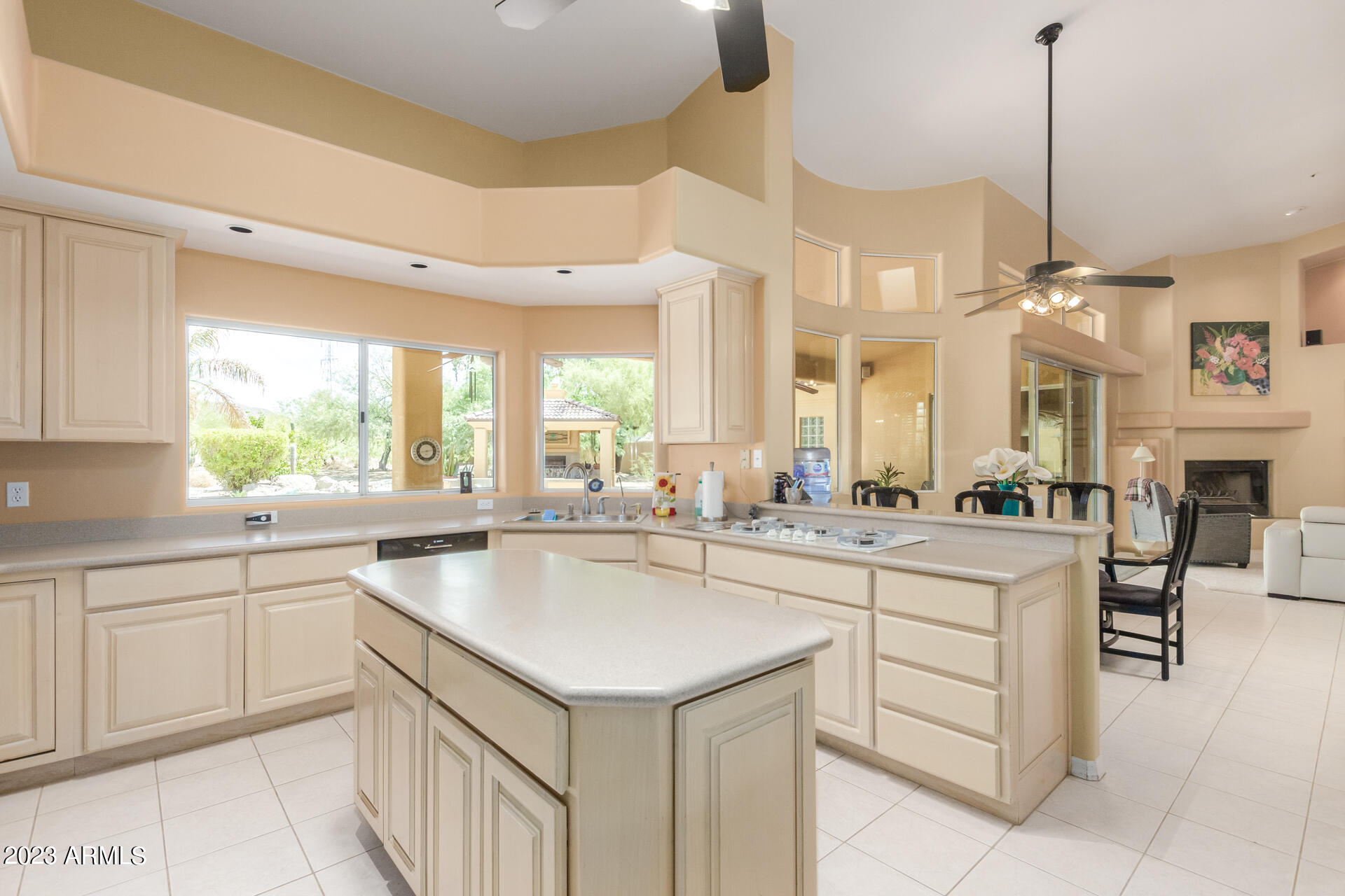 10800 E CACTUS Road # 11