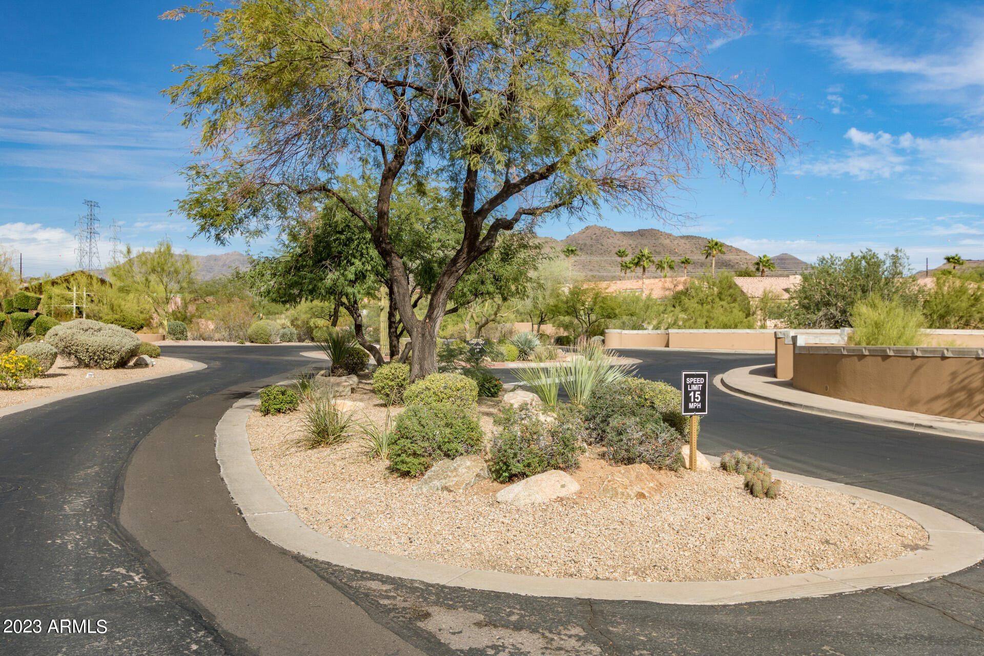 10800 E CACTUS Road # 11