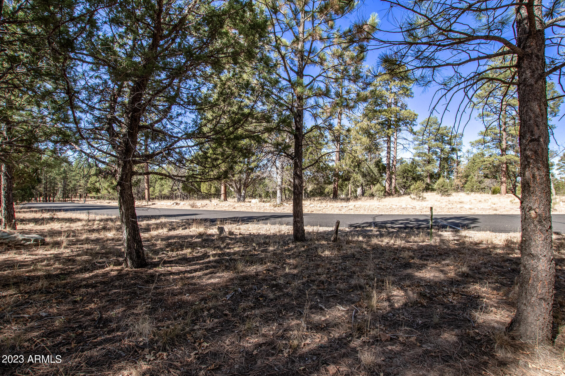 4326 TIMBERLINE Drive # 142