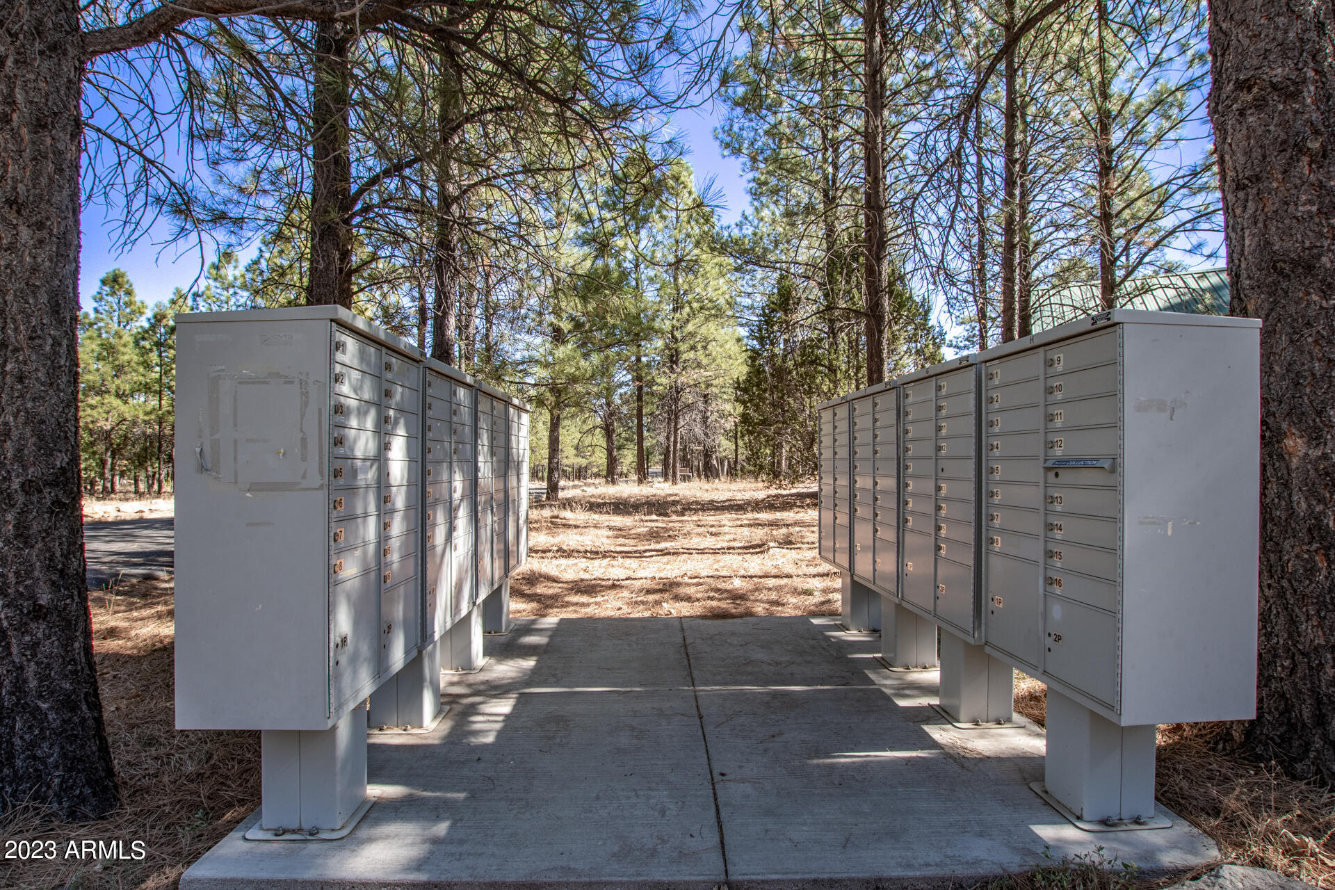 4326 TIMBERLINE Drive # 142