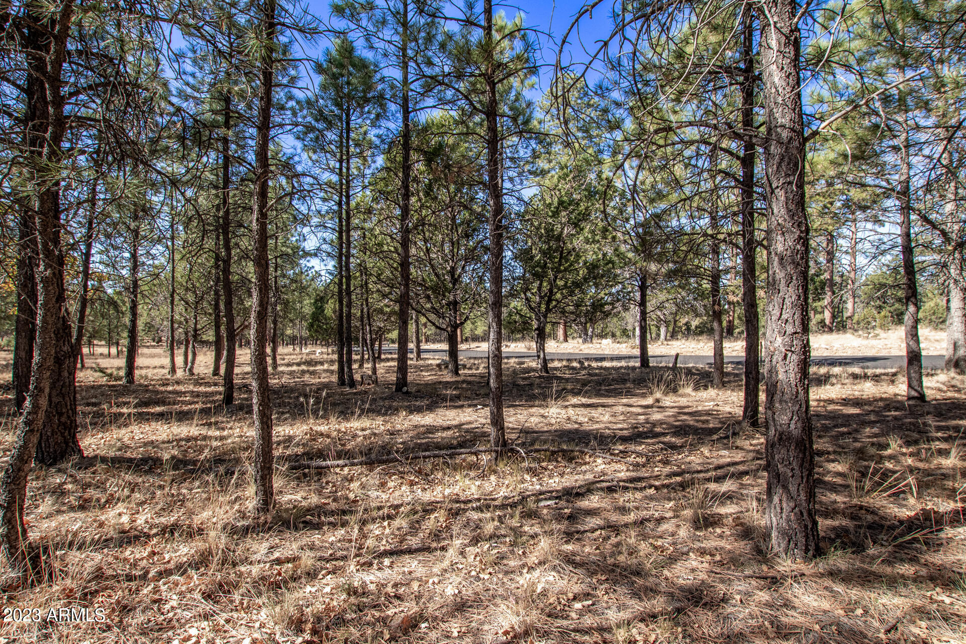 4326 TIMBERLINE Drive # 142
