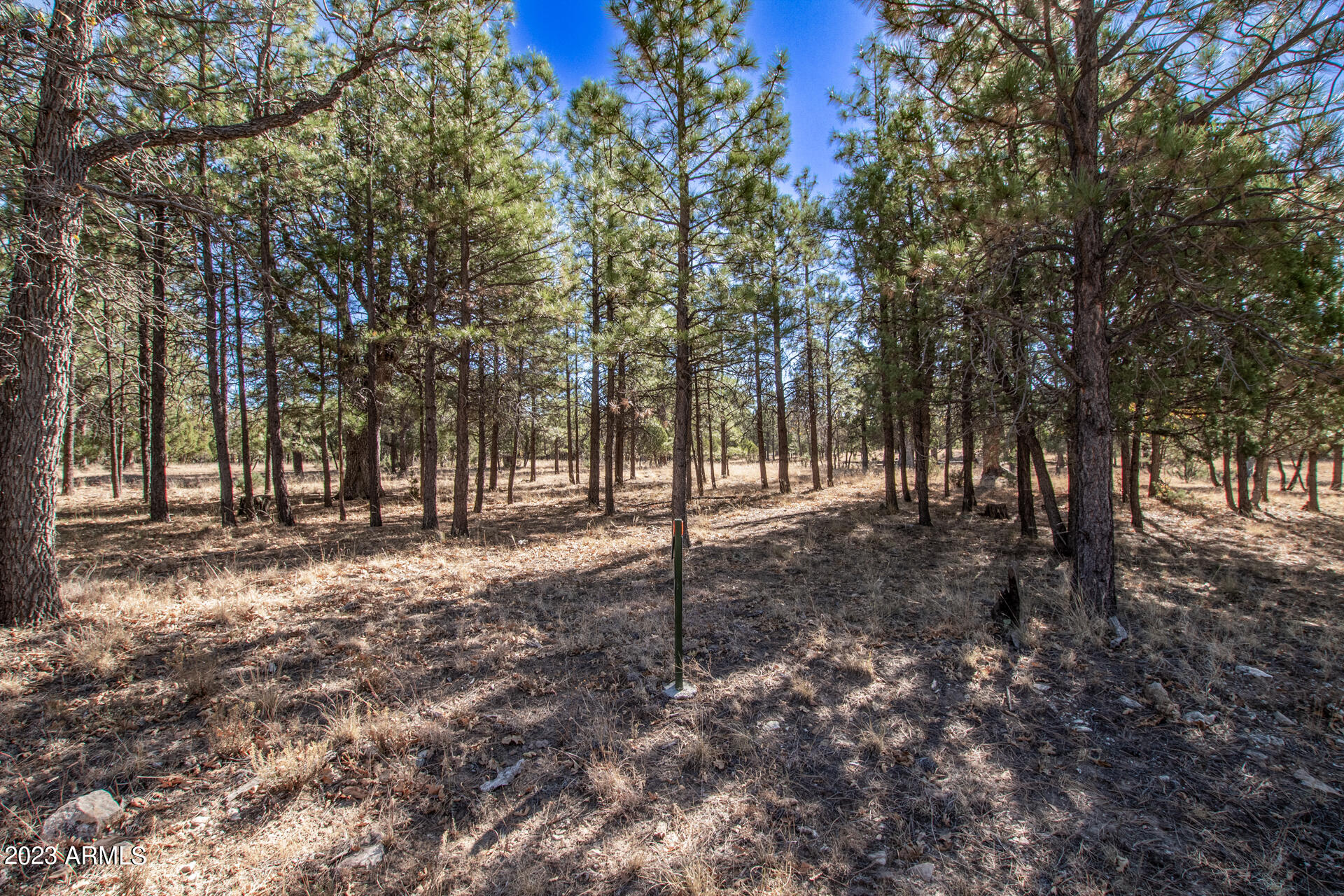 4326 TIMBERLINE Drive # 142