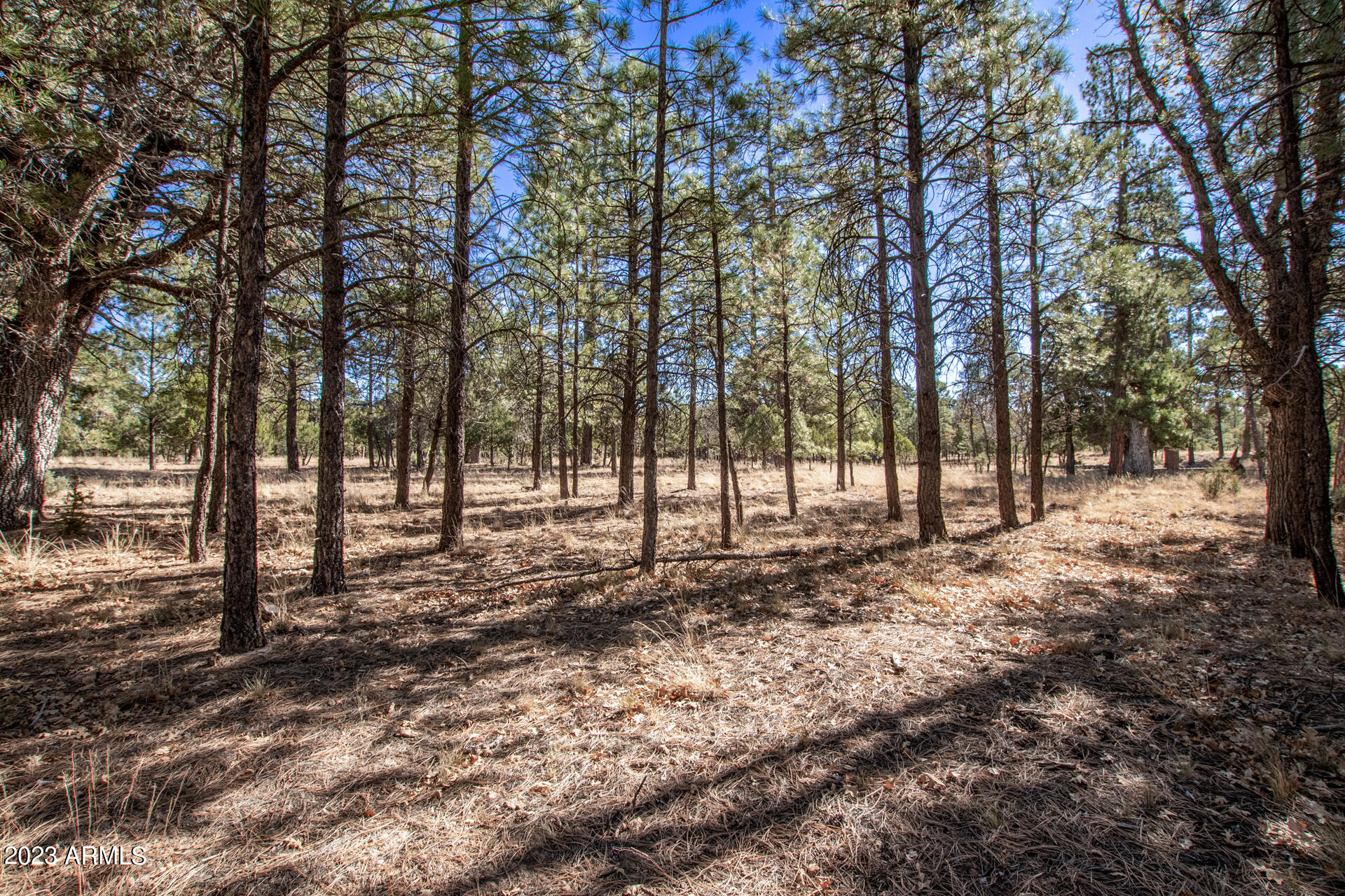 4326 TIMBERLINE Drive # 142